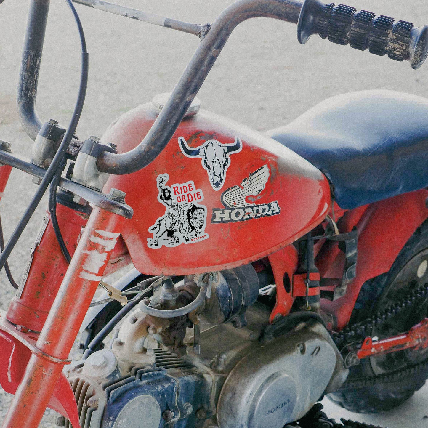 Ride or Die Sticker