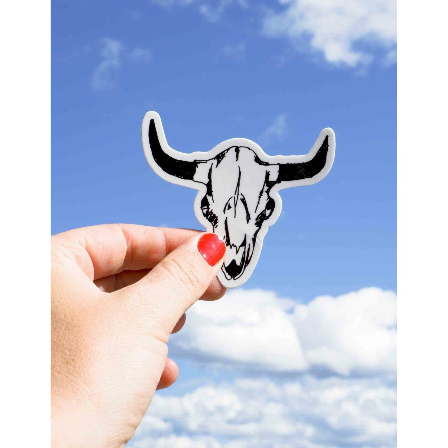 Montana Buffalo Skull Decal