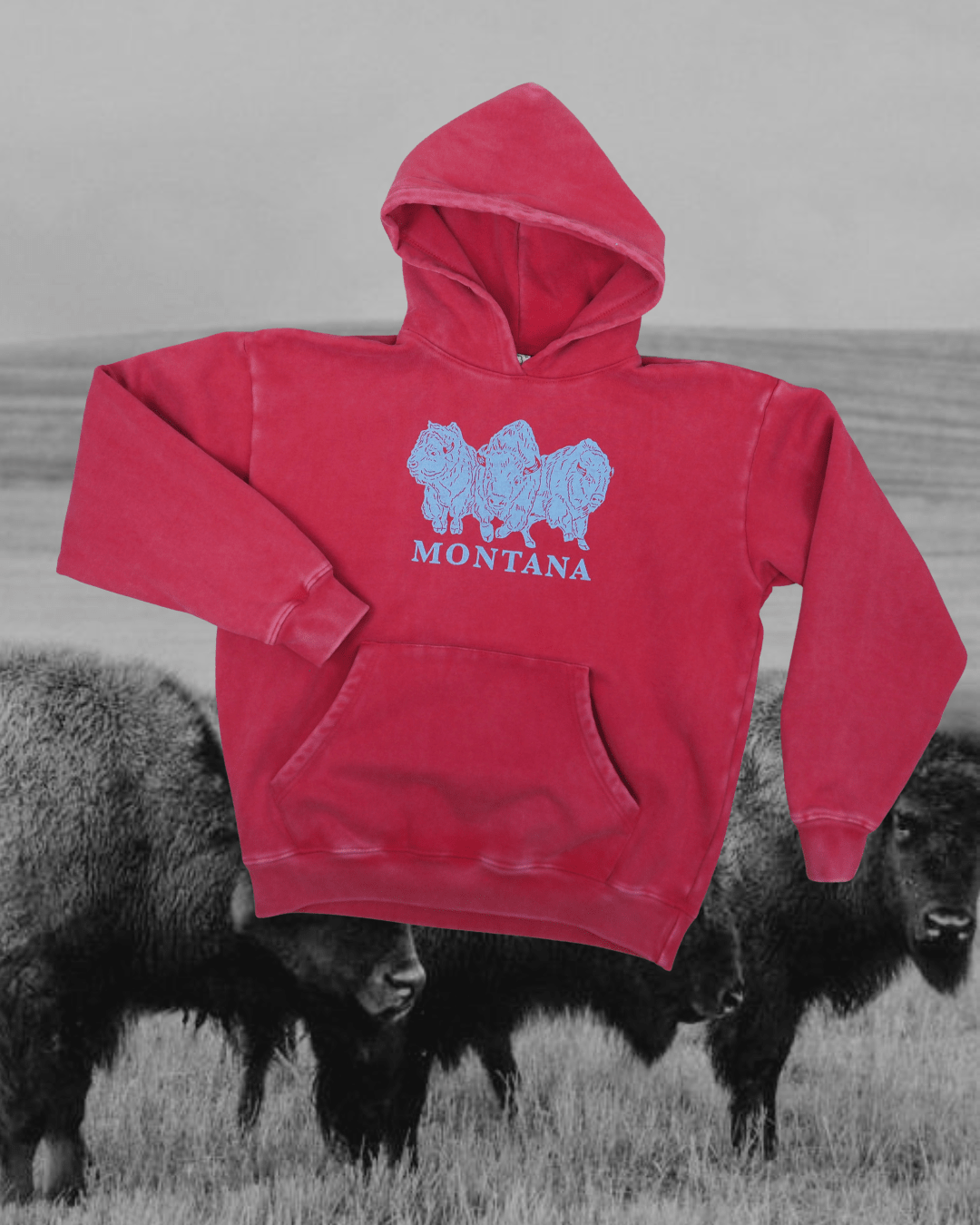Bison Power - Intrigue Ink