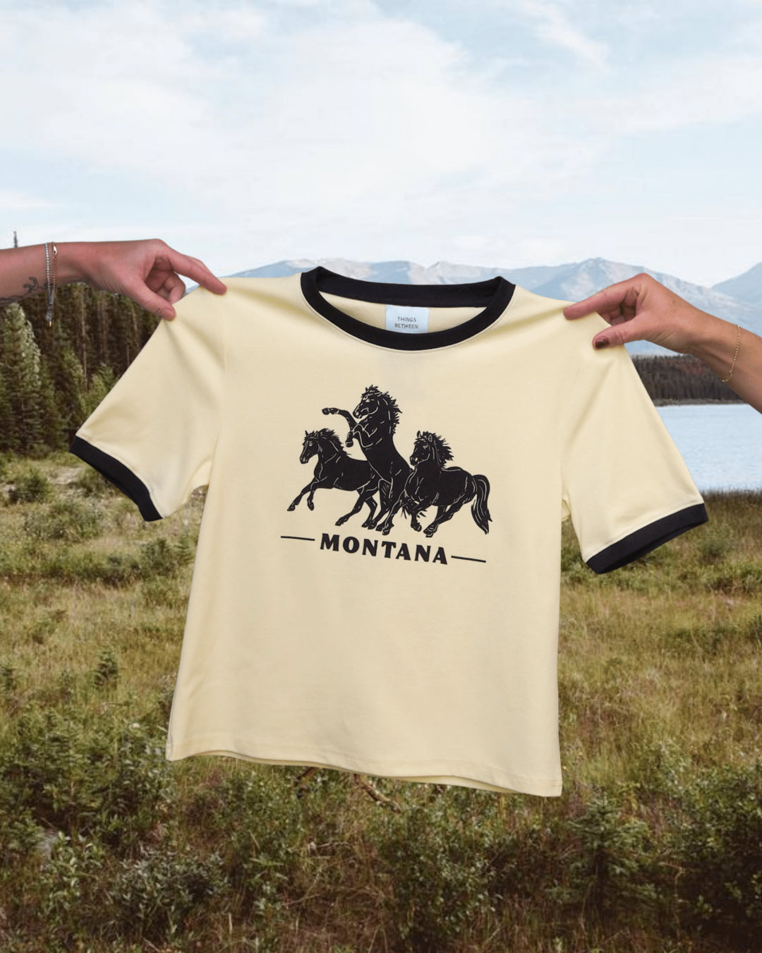 Wild Horses Montana - Intrigue Ink