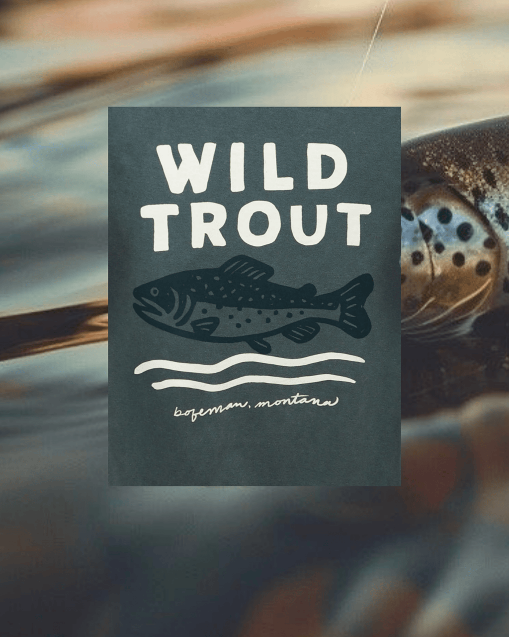 "Wild Trout" Pullover - Intrigue Ink Visit Bozeman, Unique Shopping Boutique in Montana, Work from Home Clothes for Women
