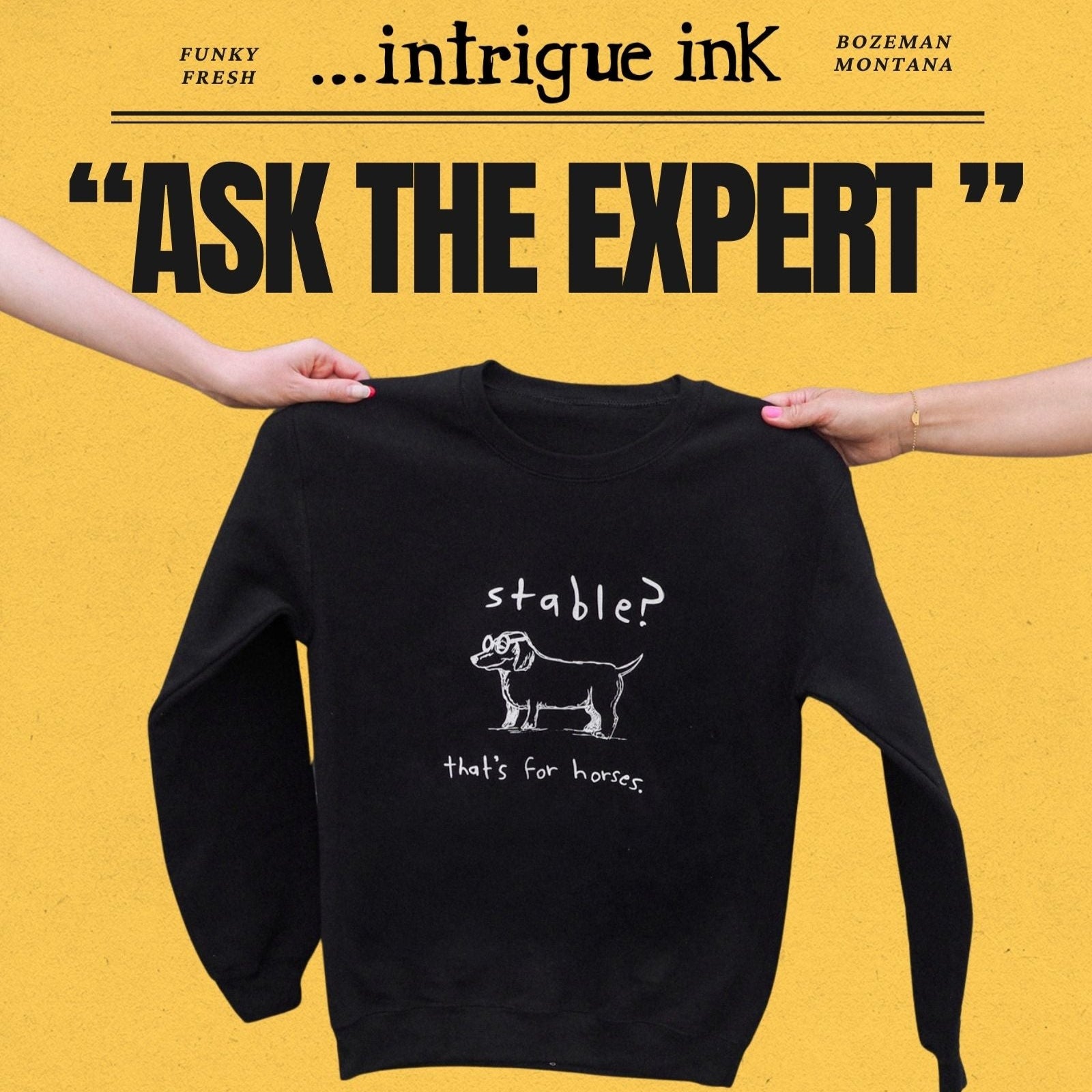 "Stable" Pullover - Intrigue Ink Visit Bozeman, Unique Shopping Boutique in Montana, Work from Home Clothes for Women