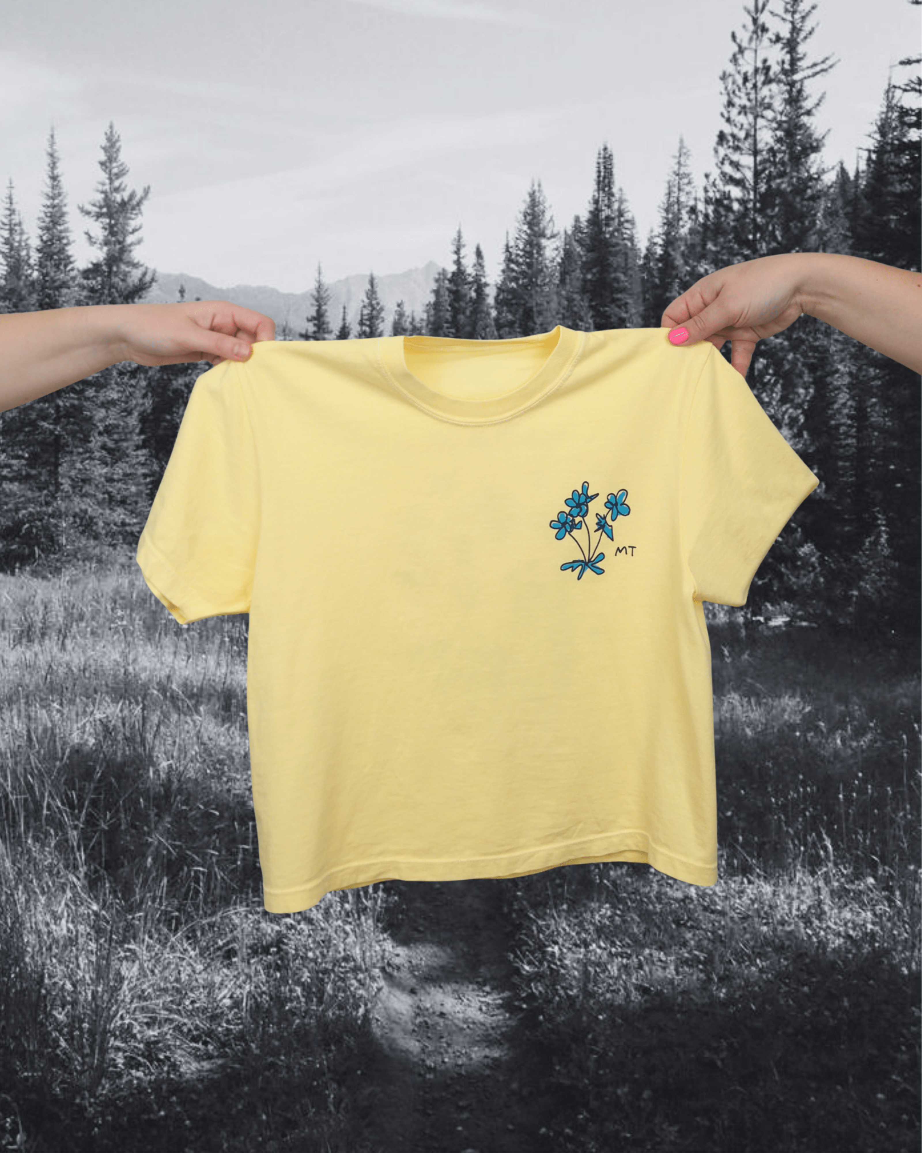 "Montana Meadow" Crop Tee - Intrigue Ink Visit Bozeman, Unique Shopping Boutique in Montana, Work from Home Clothes for Women