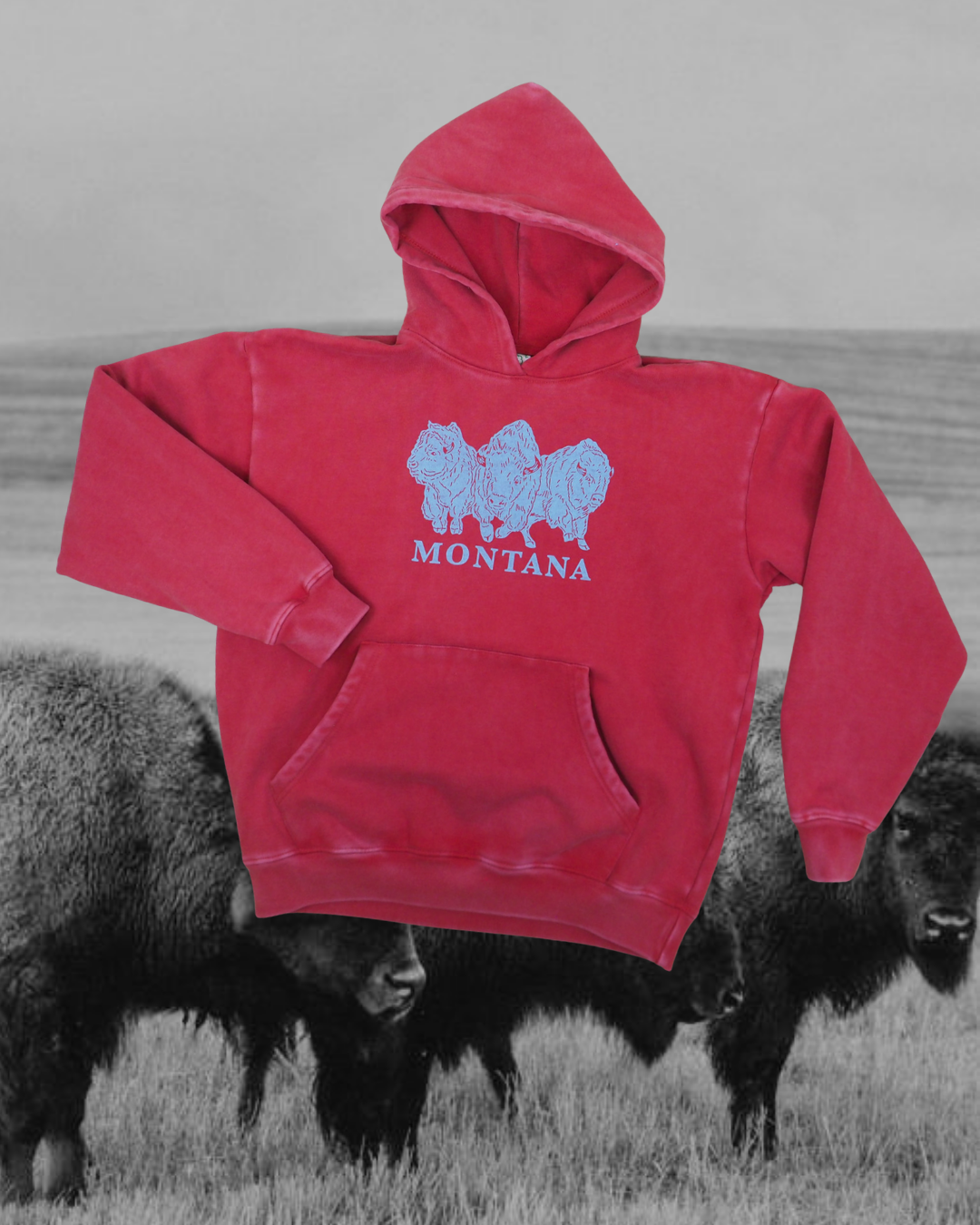 "Bison Power" Special Hoodie