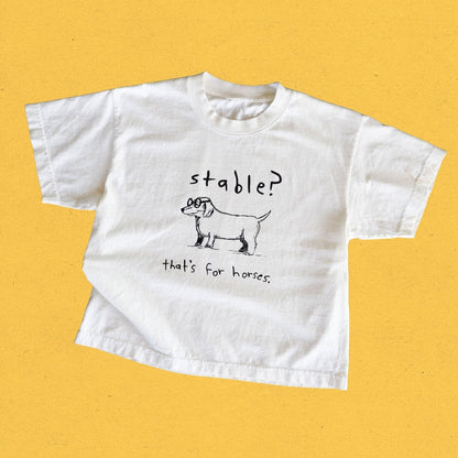 "Stable" Boxy Tee - Intrigue Ink Visit Bozeman, Unique Shopping Boutique in Montana, Work from Home Clothes for Women