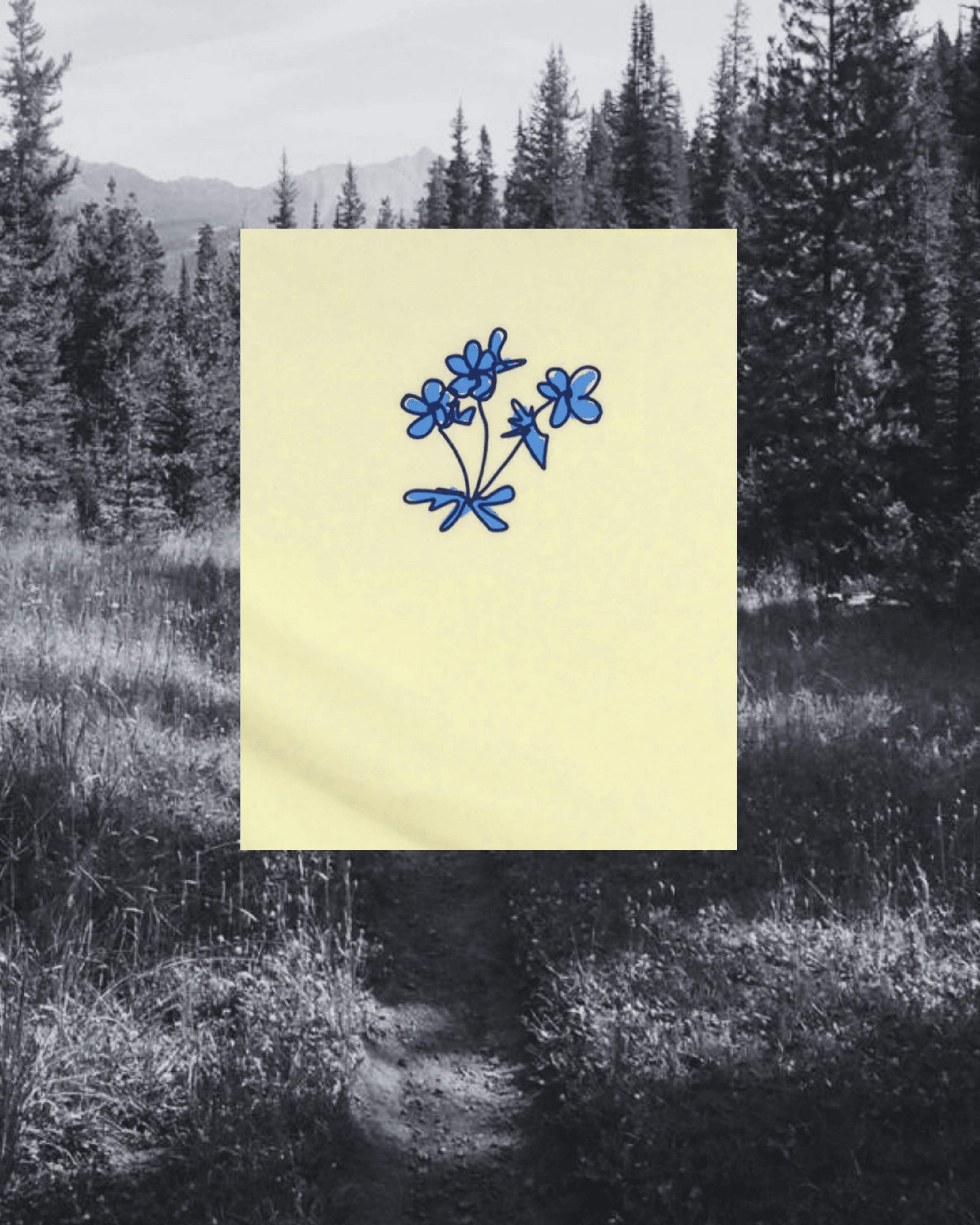 "Montana Meadow" Tank - Intrigue Ink Visit Bozeman, Unique Shopping Boutique in Montana, Work from Home Clothes for Women