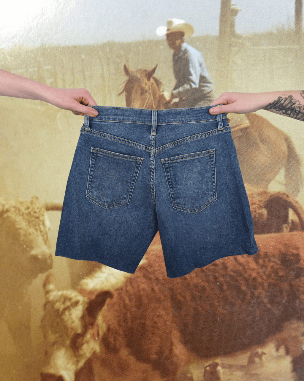 Medium Denim Bermuda Short - Intrigue Ink Visit Bozeman, Unique Shopping Boutique in Montana, Work from Home Clothes for Women