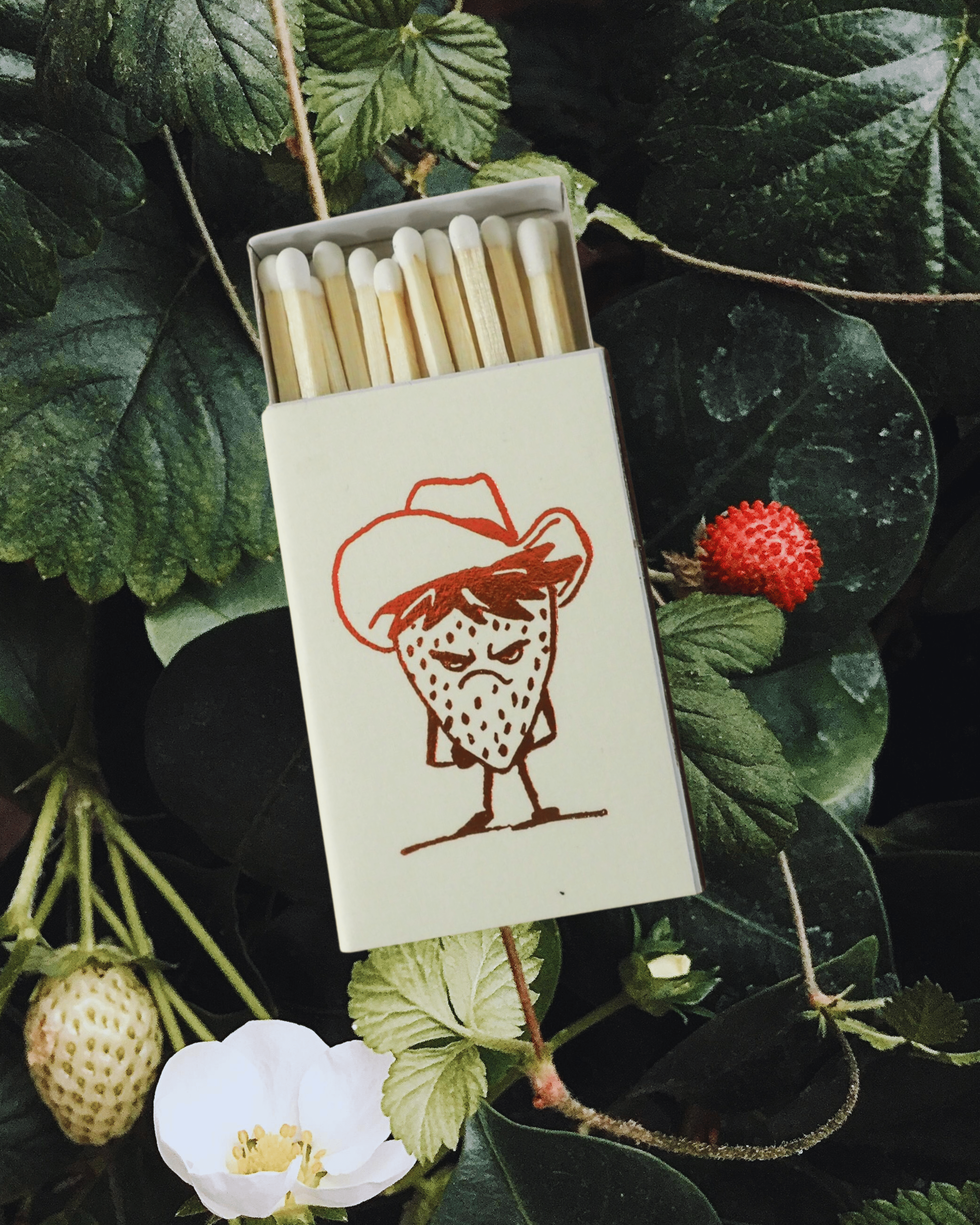 "Bad Fruit" Matches - Intrigue Ink Visit Bozeman, Unique Shopping Boutique in Montana, Work from Home Clothes for Women