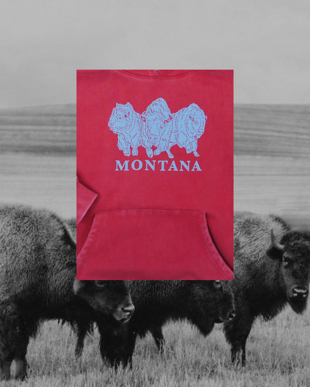 "Bison Power" Special Hoodie