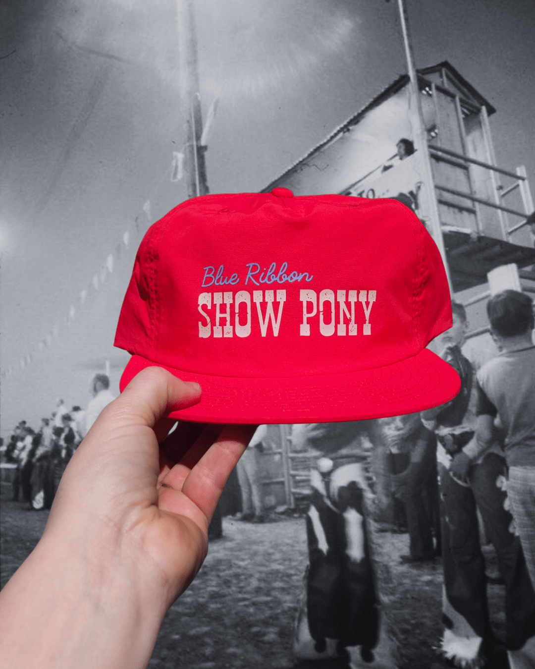 "Show Pony" Surfer Cap - Intrigue Ink Visit Bozeman, Unique Shopping Boutique in Montana, Work from Home Clothes for Women