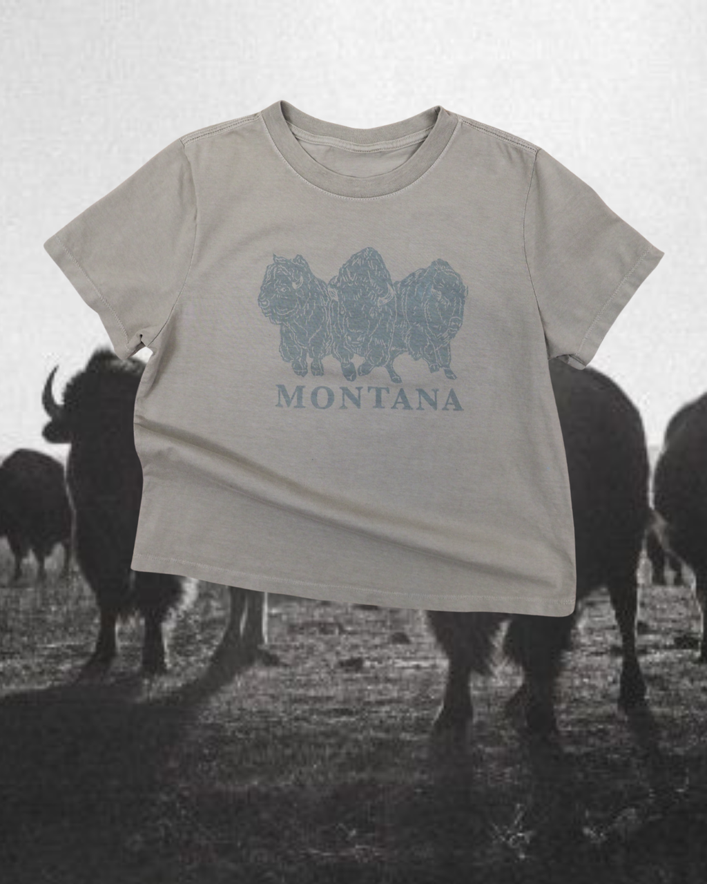 "Bison Power" Favorite Tee