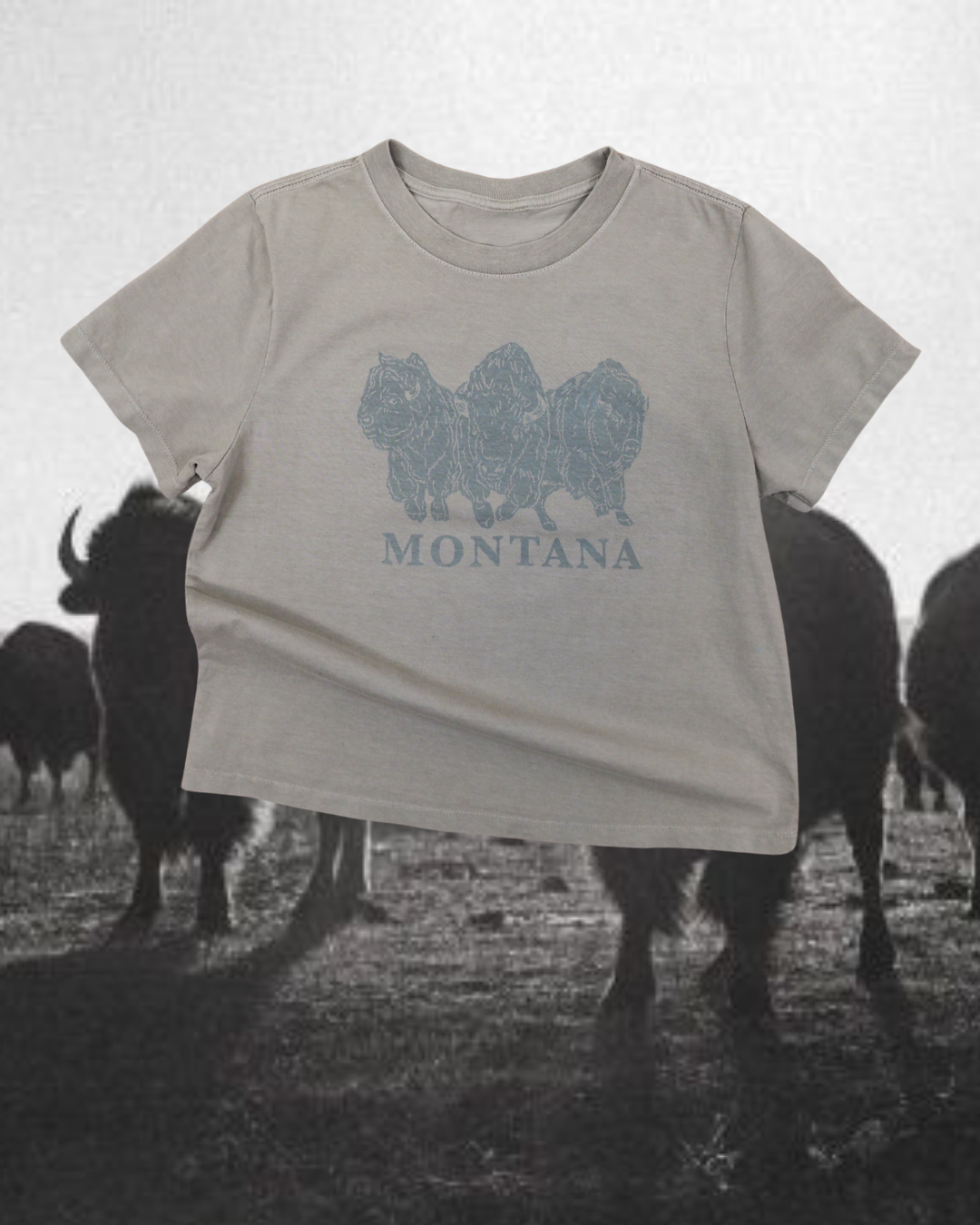 "Bison Power" Favorite Tee