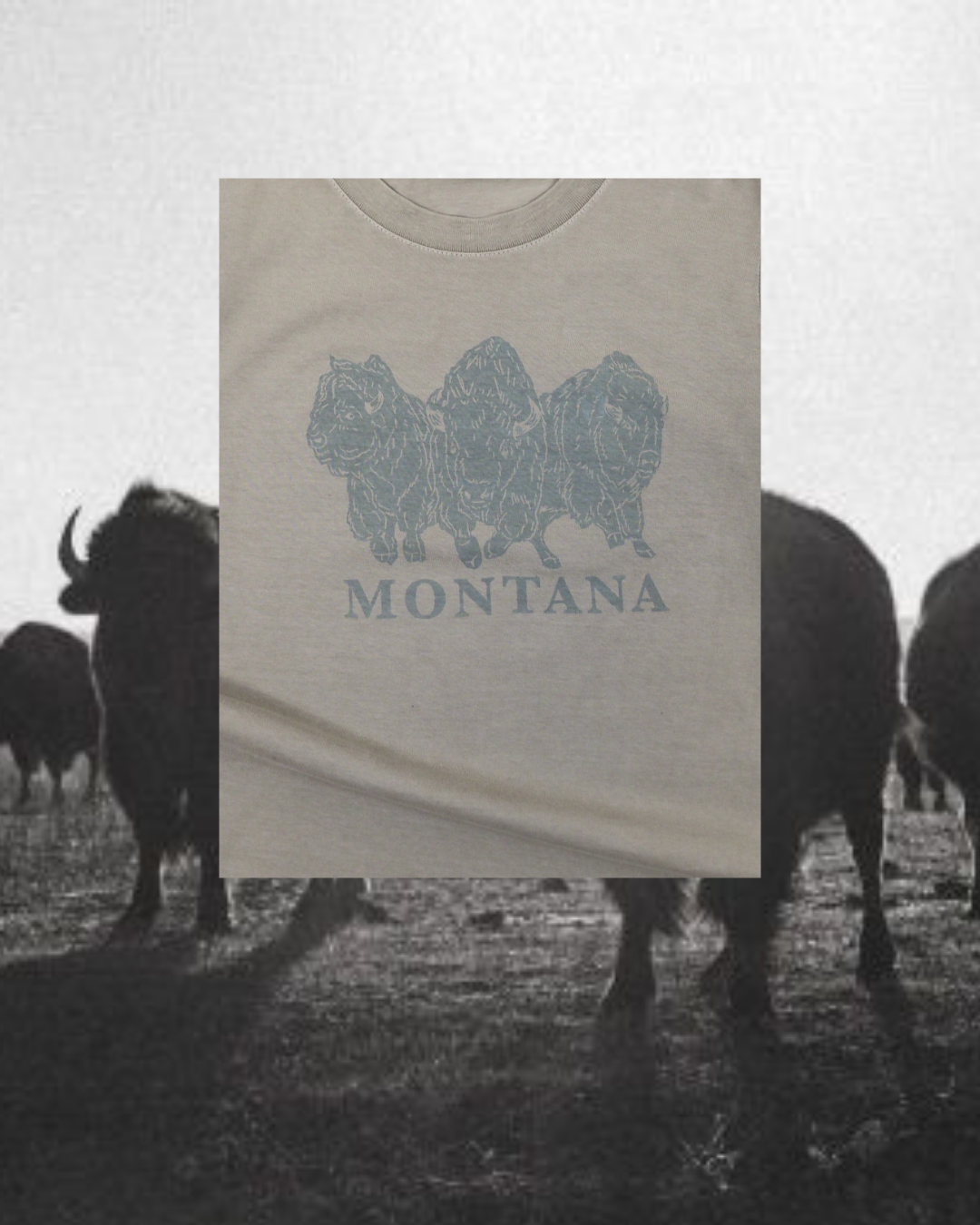 "Bison Power" Favorite Tee