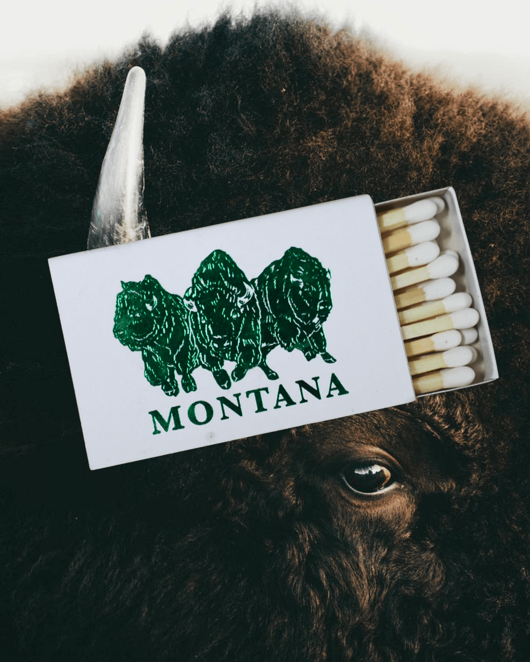 "Bison Power" Matches - Intrigue Ink Visit Bozeman, Unique Shopping Boutique in Montana, Work from Home Clothes for Women