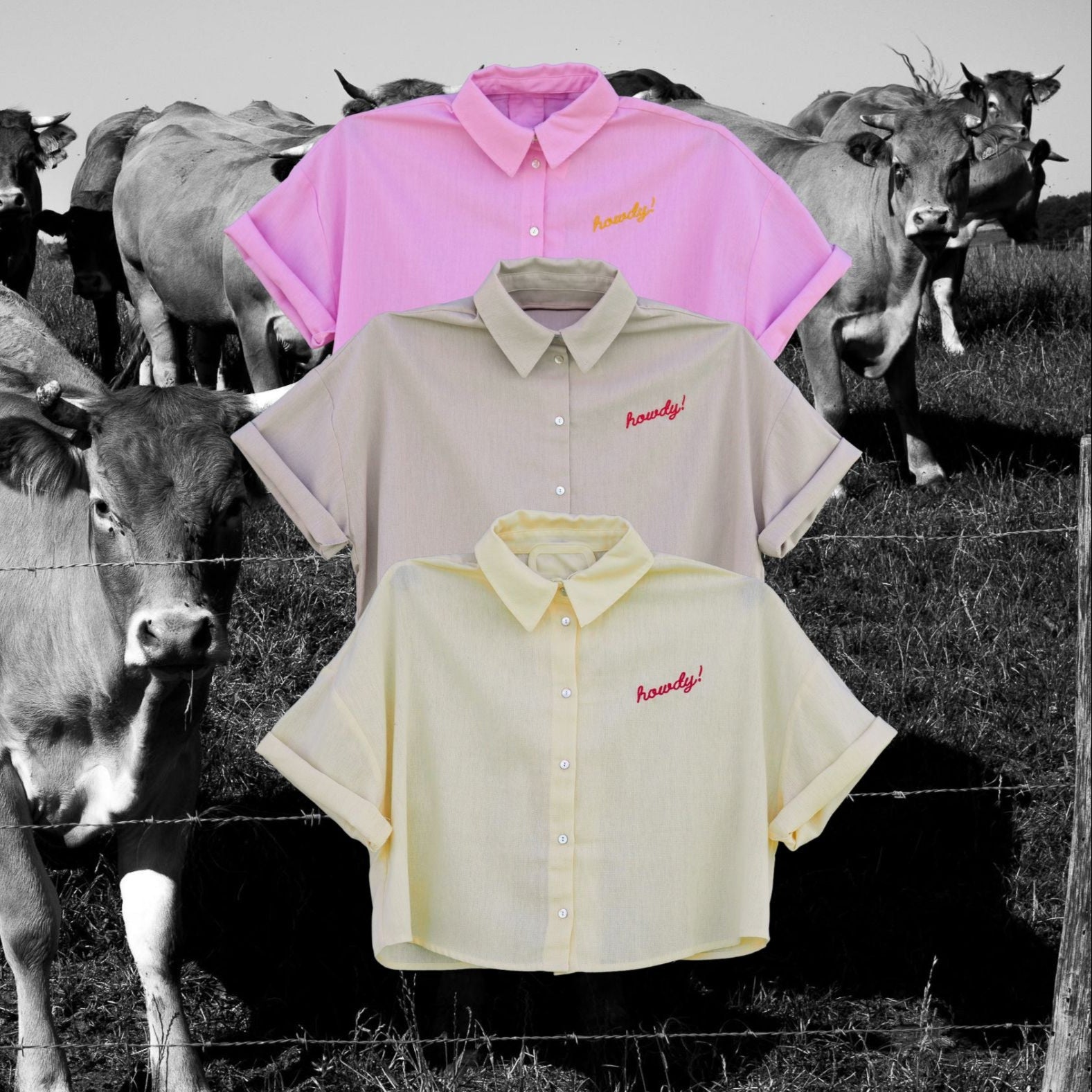 "Howdy!" Button Down Crop - Intrigue Ink Visit Bozeman, Unique Shopping Boutique in Montana, Work from Home Clothes for Women