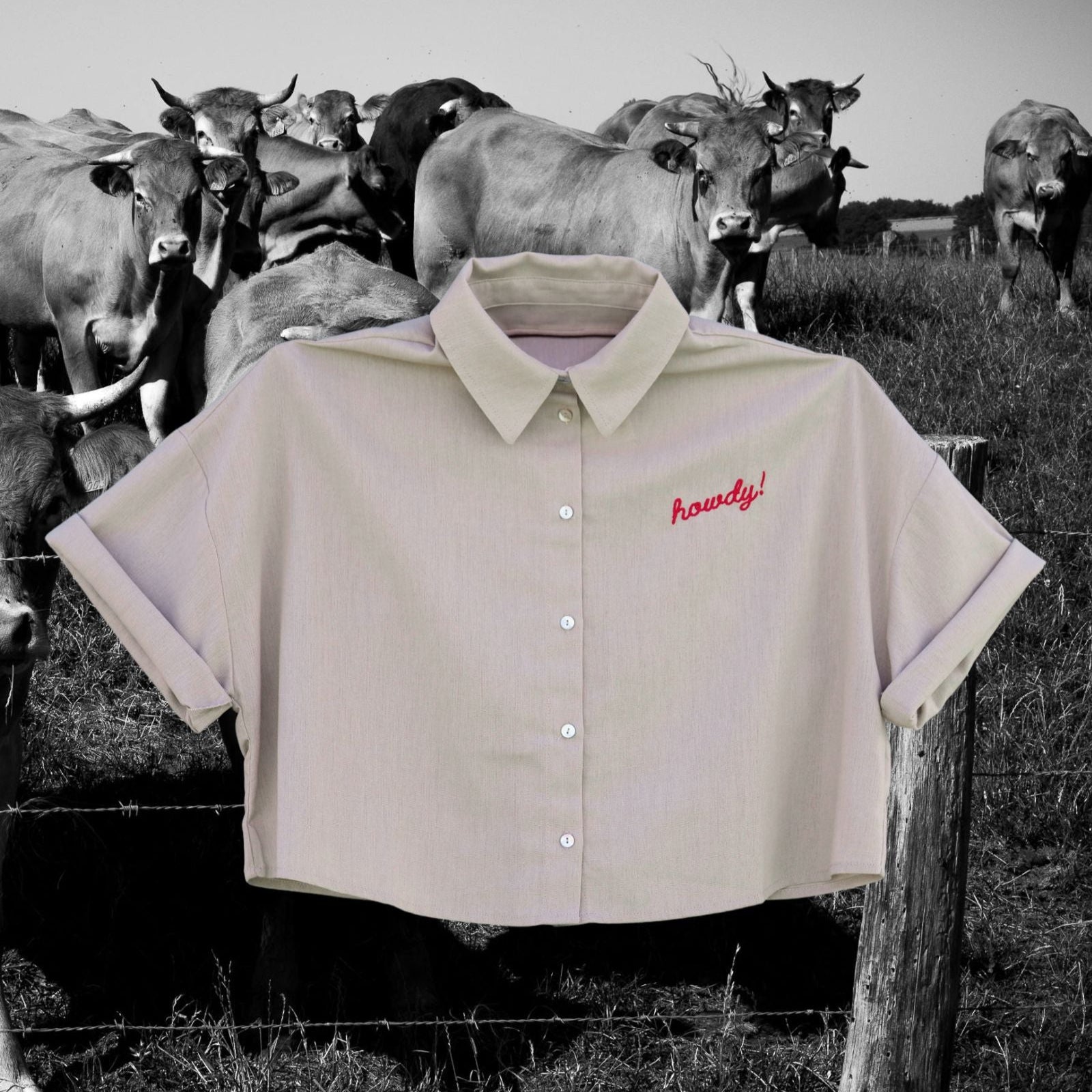 "Howdy!" Button Down Crop - Intrigue Ink Visit Bozeman, Unique Shopping Boutique in Montana, Work from Home Clothes for Women