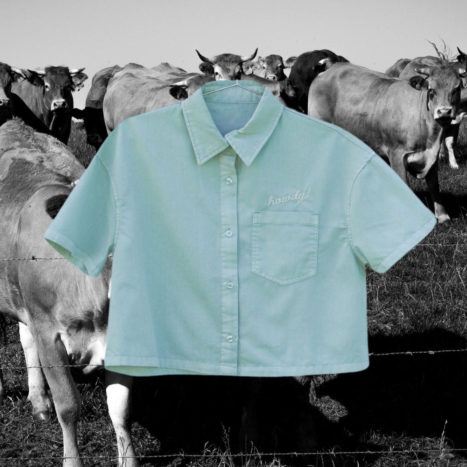 "Howdy!" Button Down Pocket Crop - Intrigue Ink Visit Bozeman, Unique Shopping Boutique in Montana, Work from Home Clothes for Women