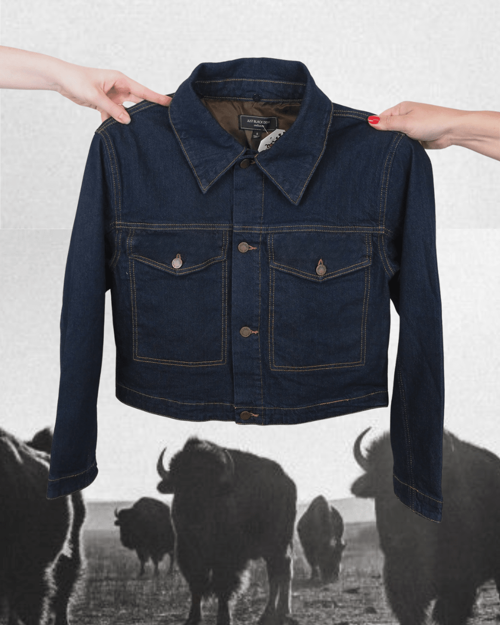 JB Collection Jacket - Dark Denim - Intrigue Ink Visit Bozeman, Unique Shopping Boutique in Montana, Work from Home Clothes for Women