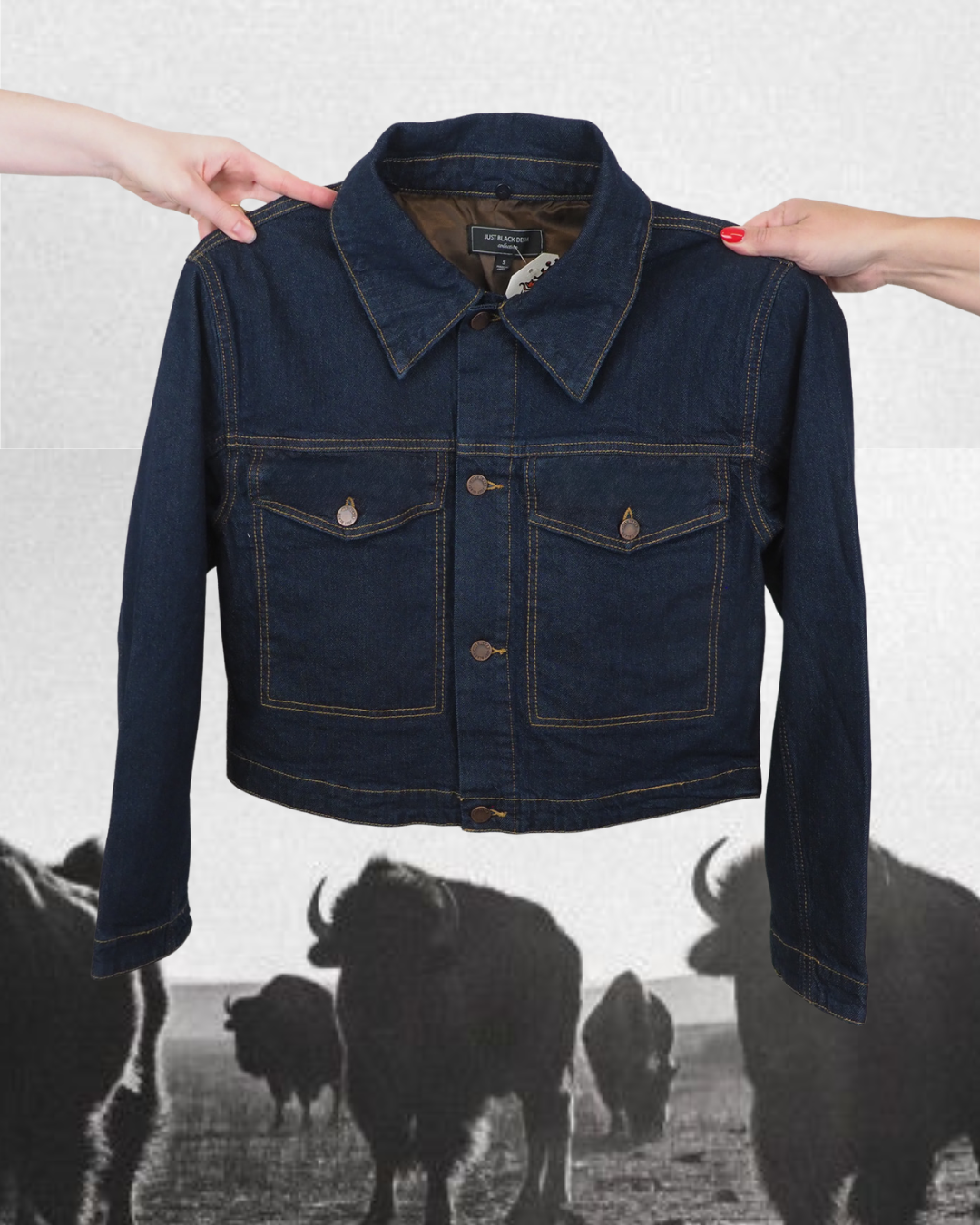 JB Collection Jacket - Dark Denim