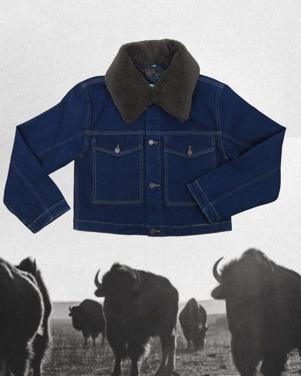 JB Collection Jacket - Dark Denim