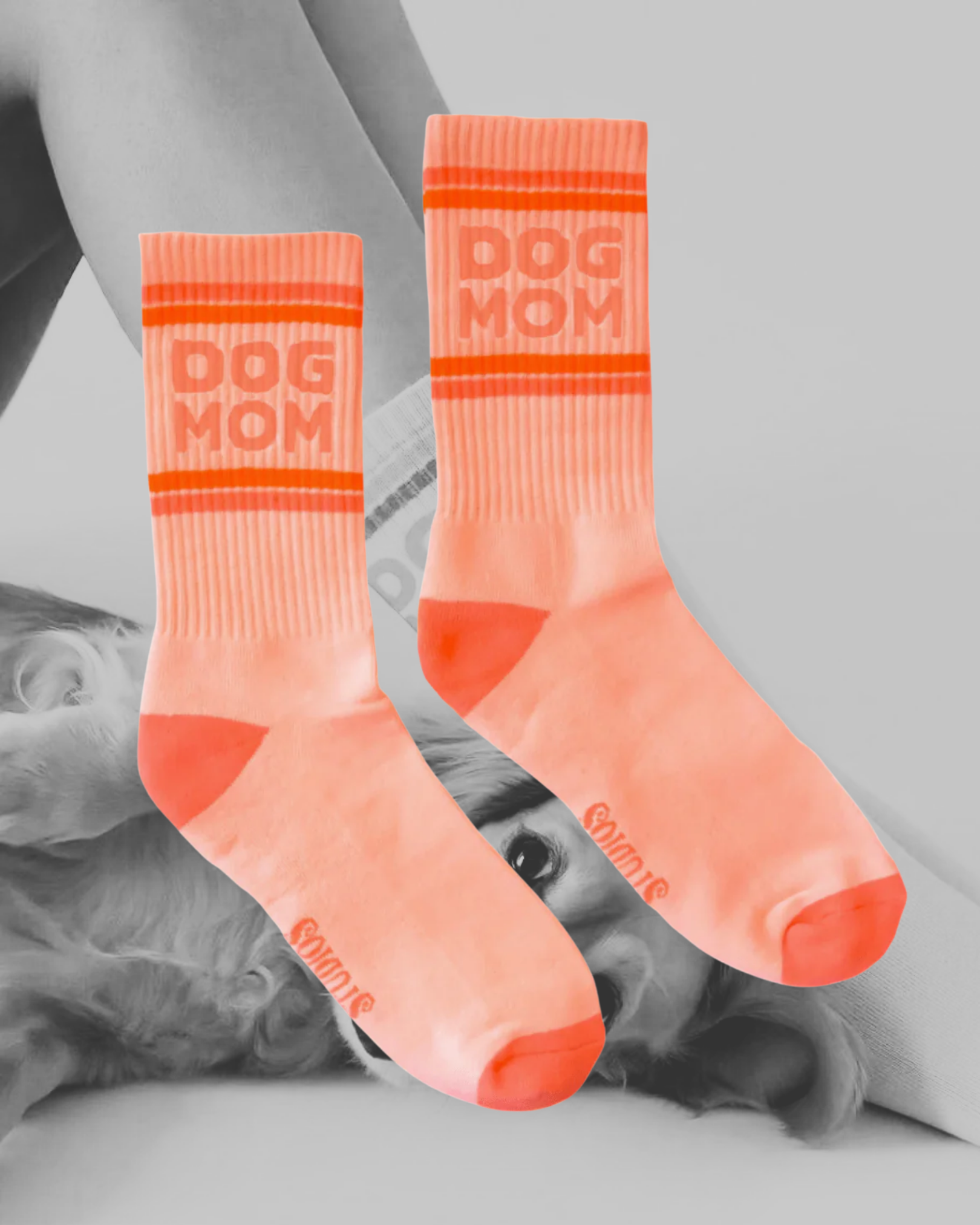 Dog Mom Striped Ribbed Crew Socks