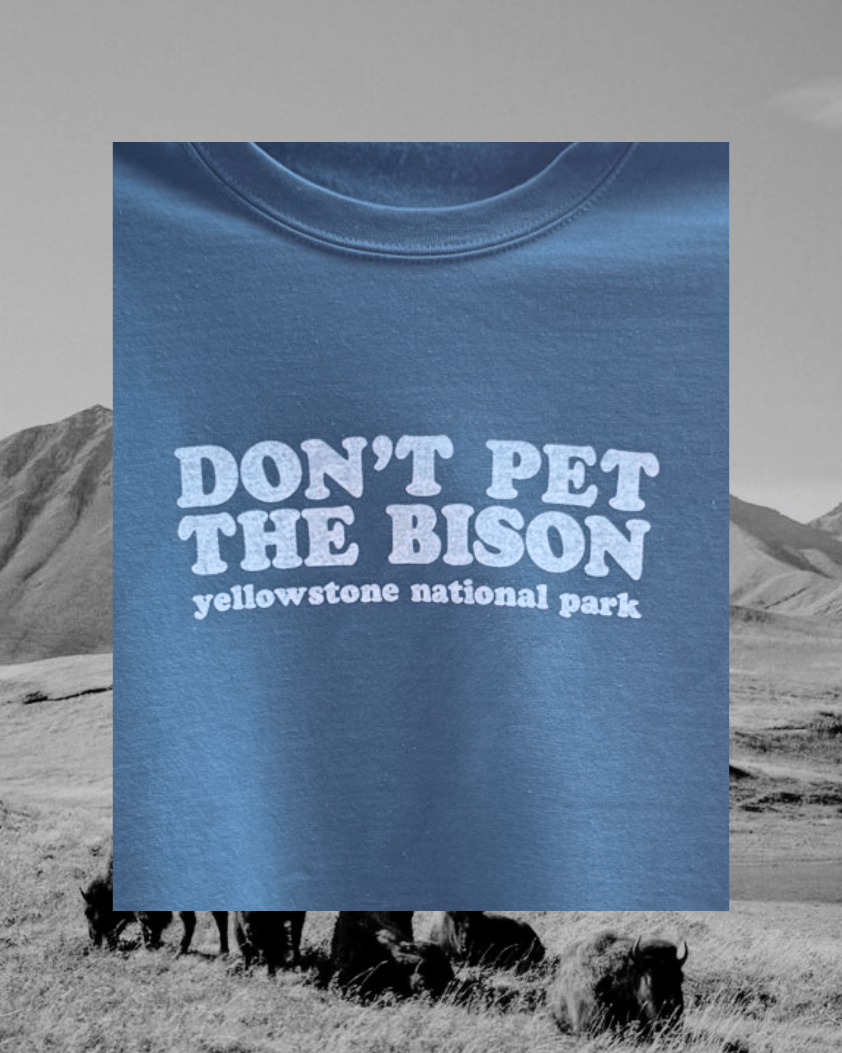 "Don't Pet The Bison" Pullover - Intrigue Ink Visit Bozeman, Unique Shopping Boutique in Montana, Work from Home Clothes for Women