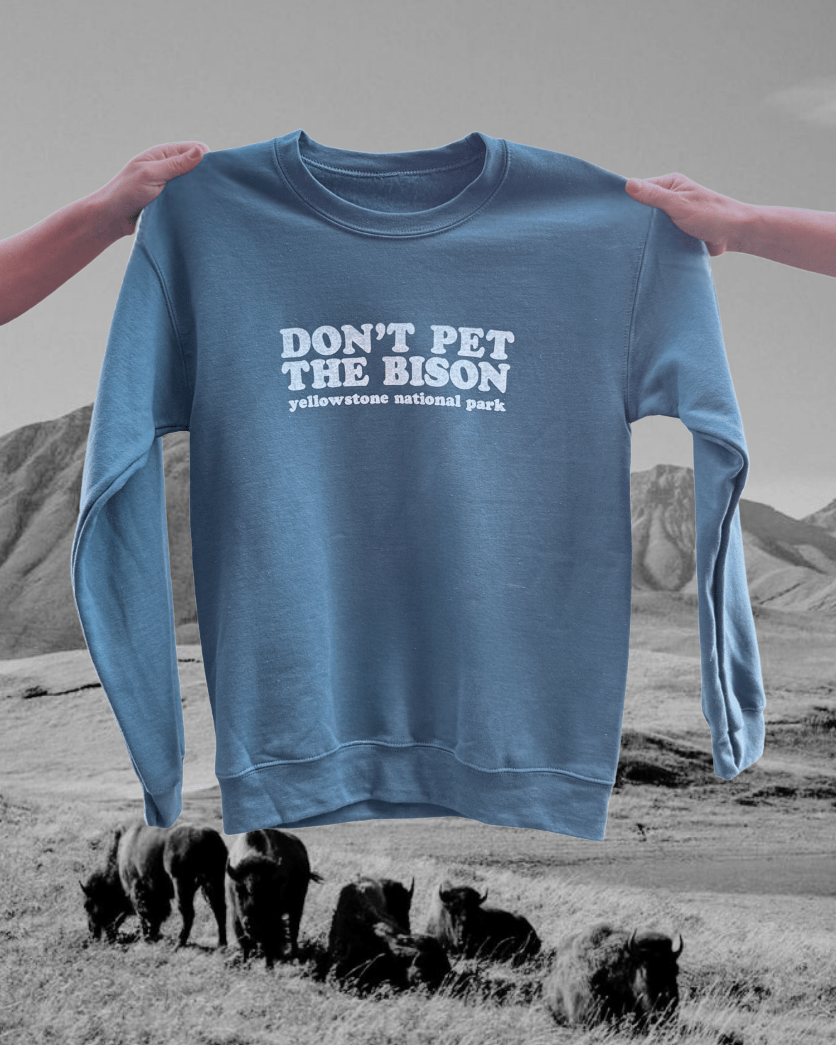 "Don't Pet The Bison" Pullover - Intrigue Ink Visit Bozeman, Unique Shopping Boutique in Montana, Work from Home Clothes for Women