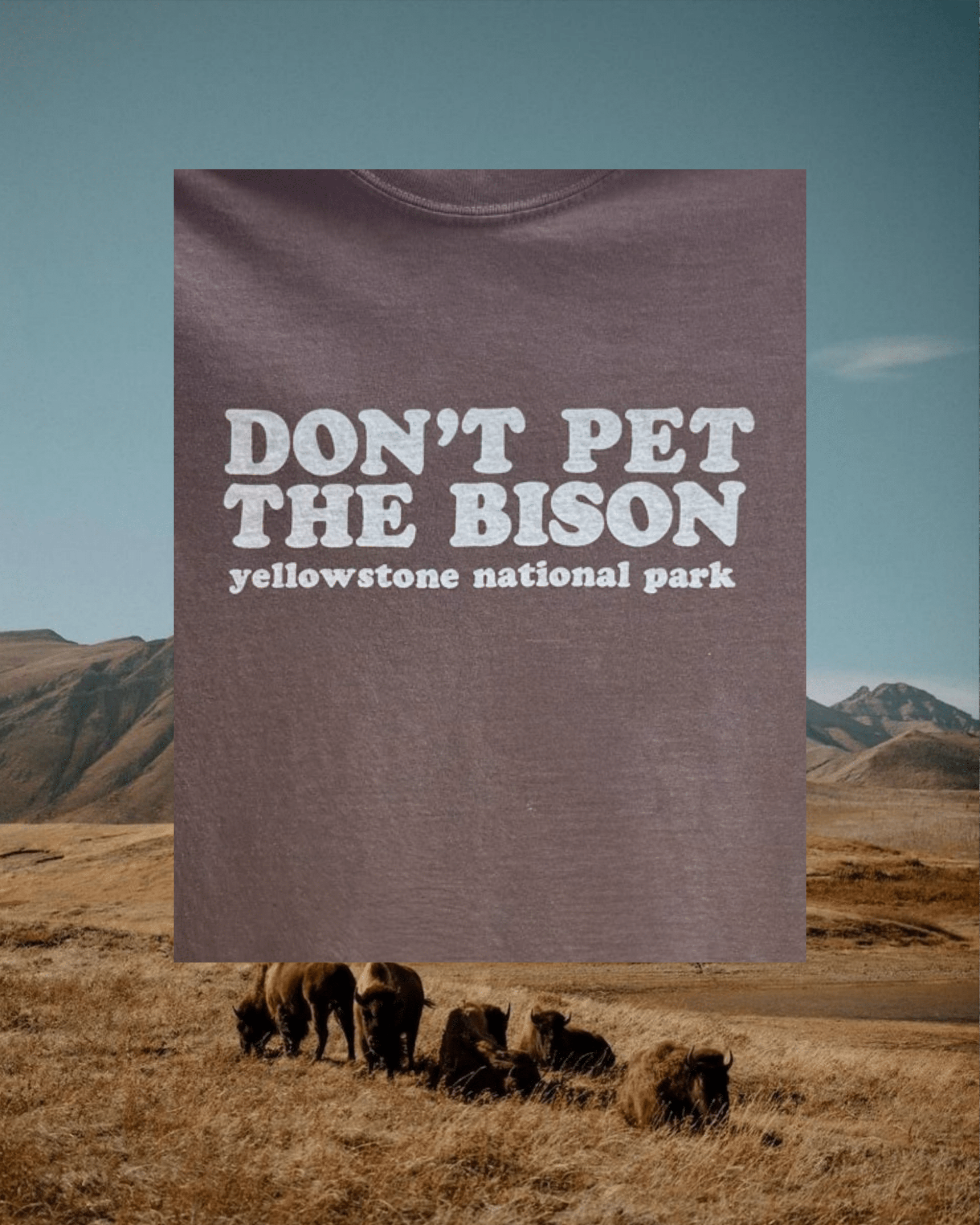"Don't Pet the Bison" Espresso Tee - Intrigue Ink Visit Bozeman, Unique Shopping Boutique in Montana, Work from Home Clothes for Women