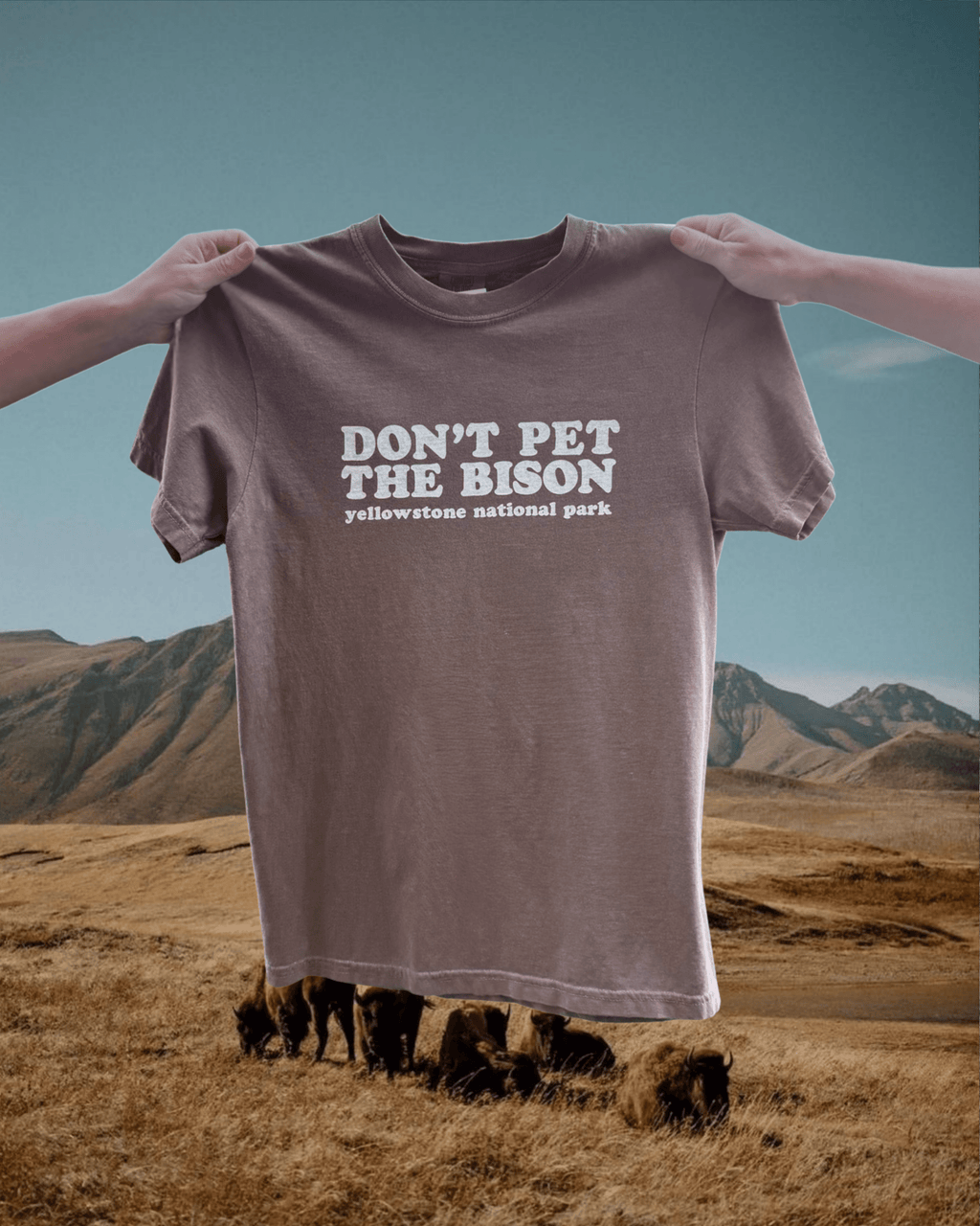 "Don't Pet the Bison" Espresso Tee - Intrigue Ink Visit Bozeman, Unique Shopping Boutique in Montana, Work from Home Clothes for Women