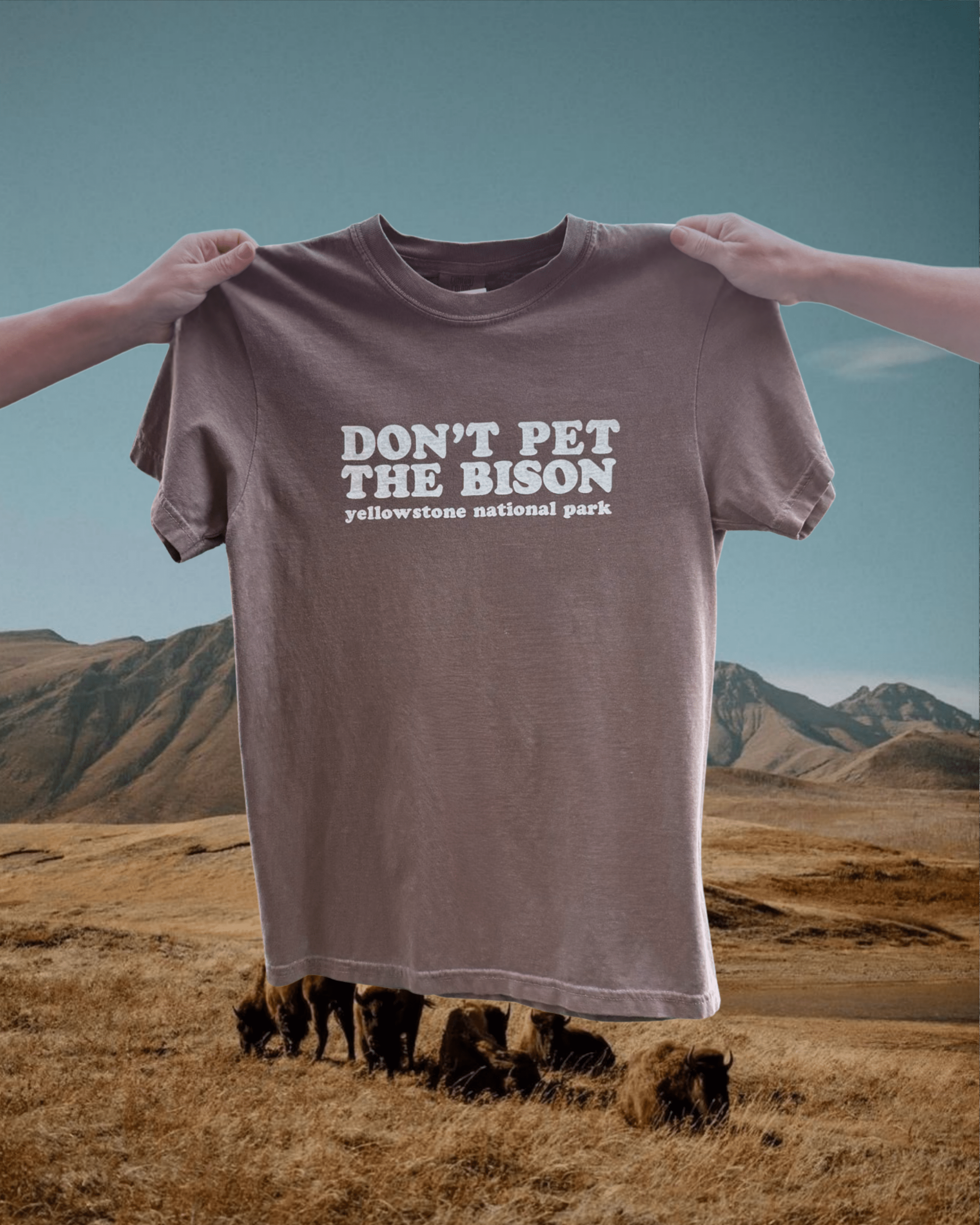 "Don't Pet the Bison" Espresso Tee - Intrigue Ink Visit Bozeman, Unique Shopping Boutique in Montana, Work from Home Clothes for Women