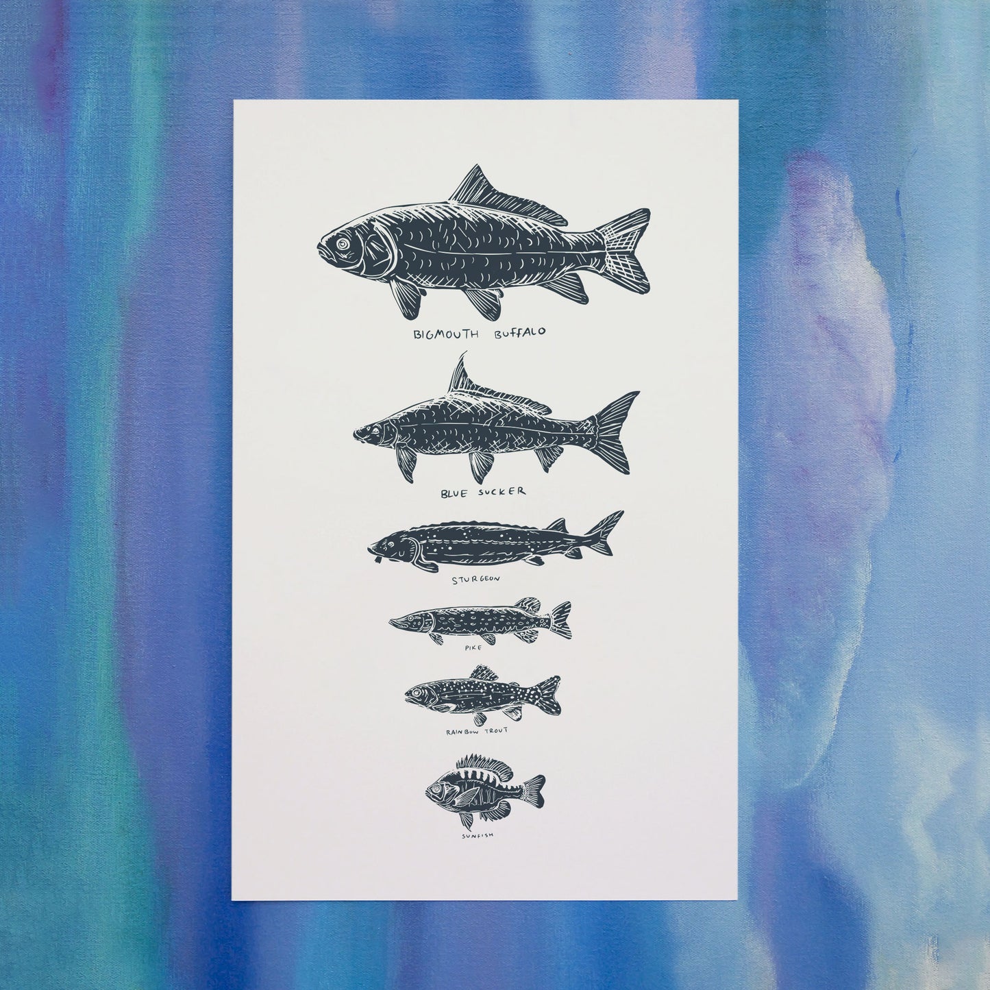 "Fish of Montana" Poster