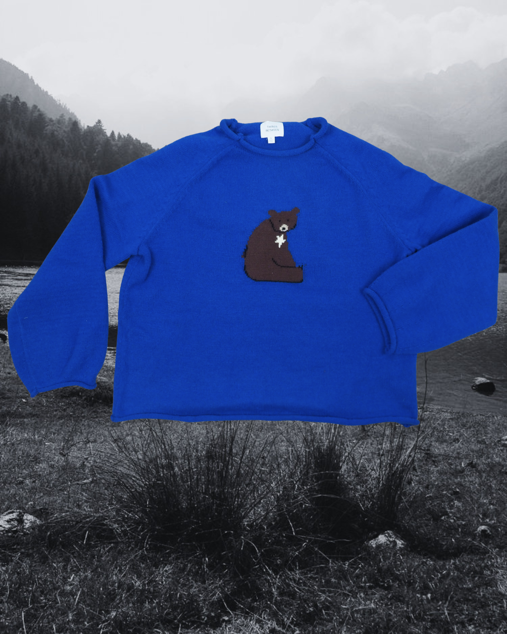 Bear Sweater in Royal Blue