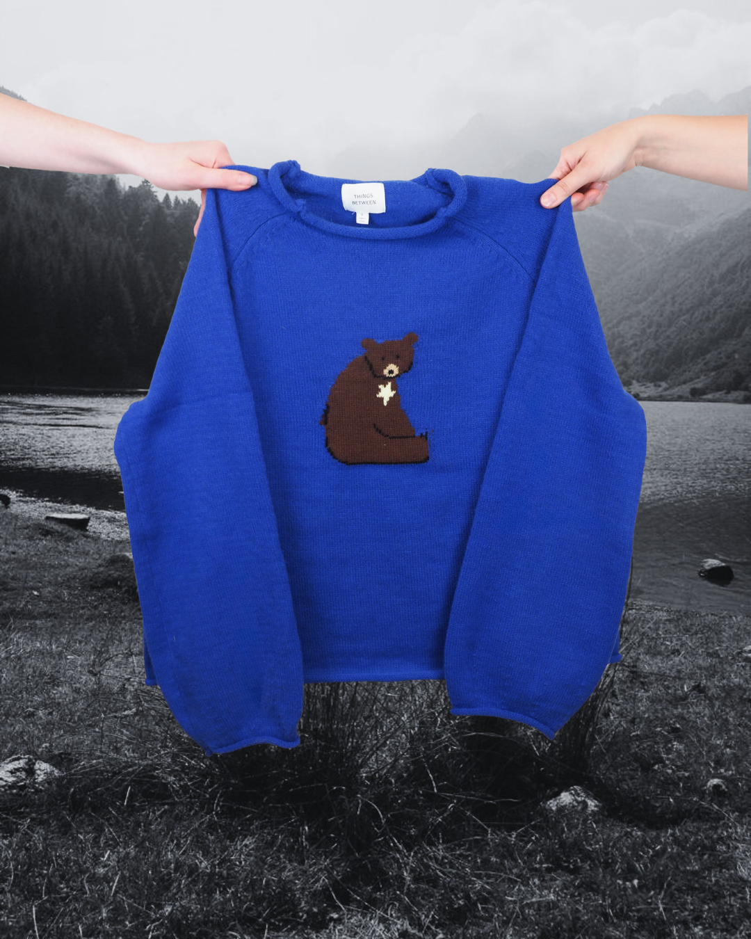 Bear Sweater in Royal Blue