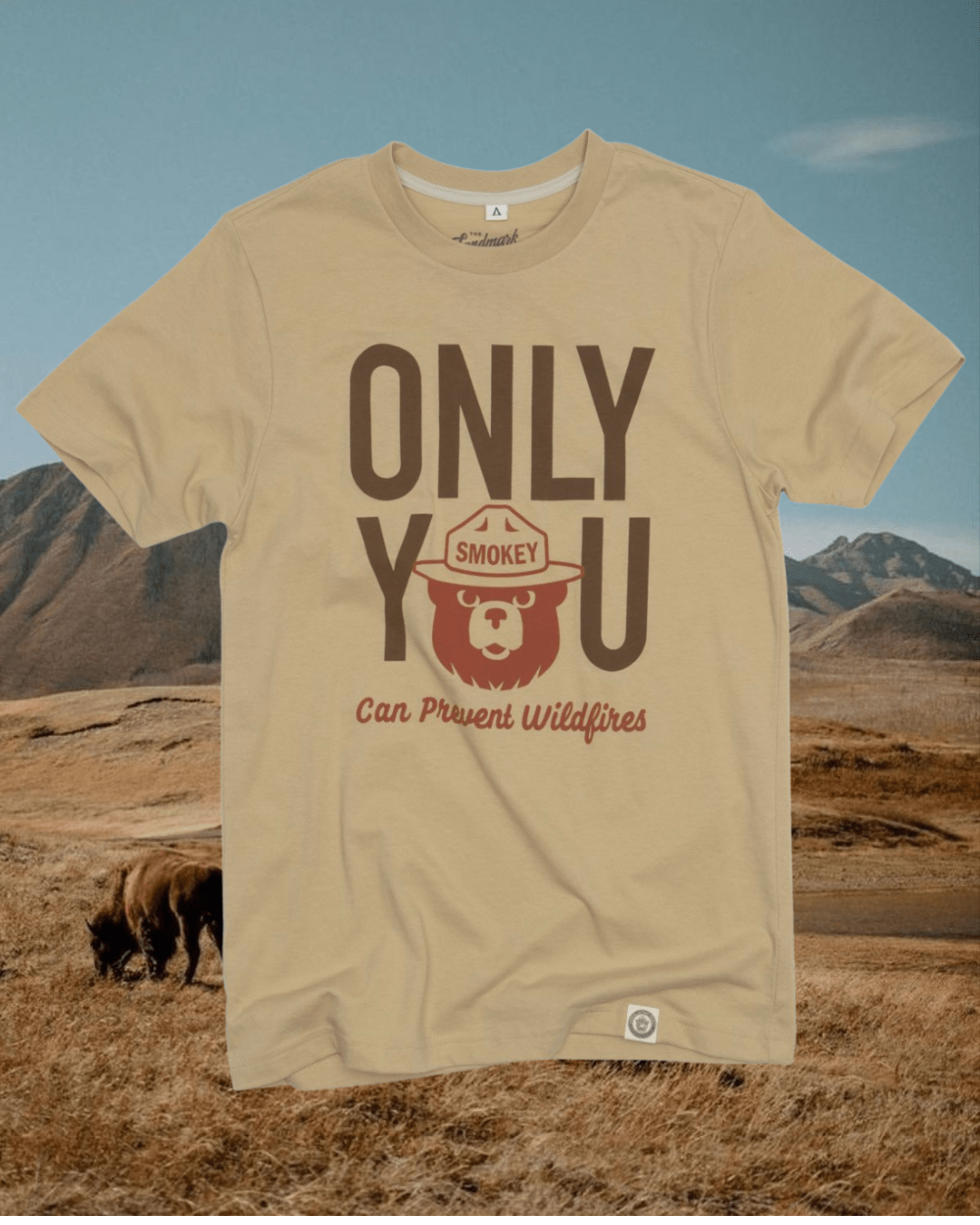 Only You Heritage Short Sleeve Tee - Intrigue Ink Visit Bozeman, Unique Shopping Boutique in Montana, Work from Home Clothes for Women