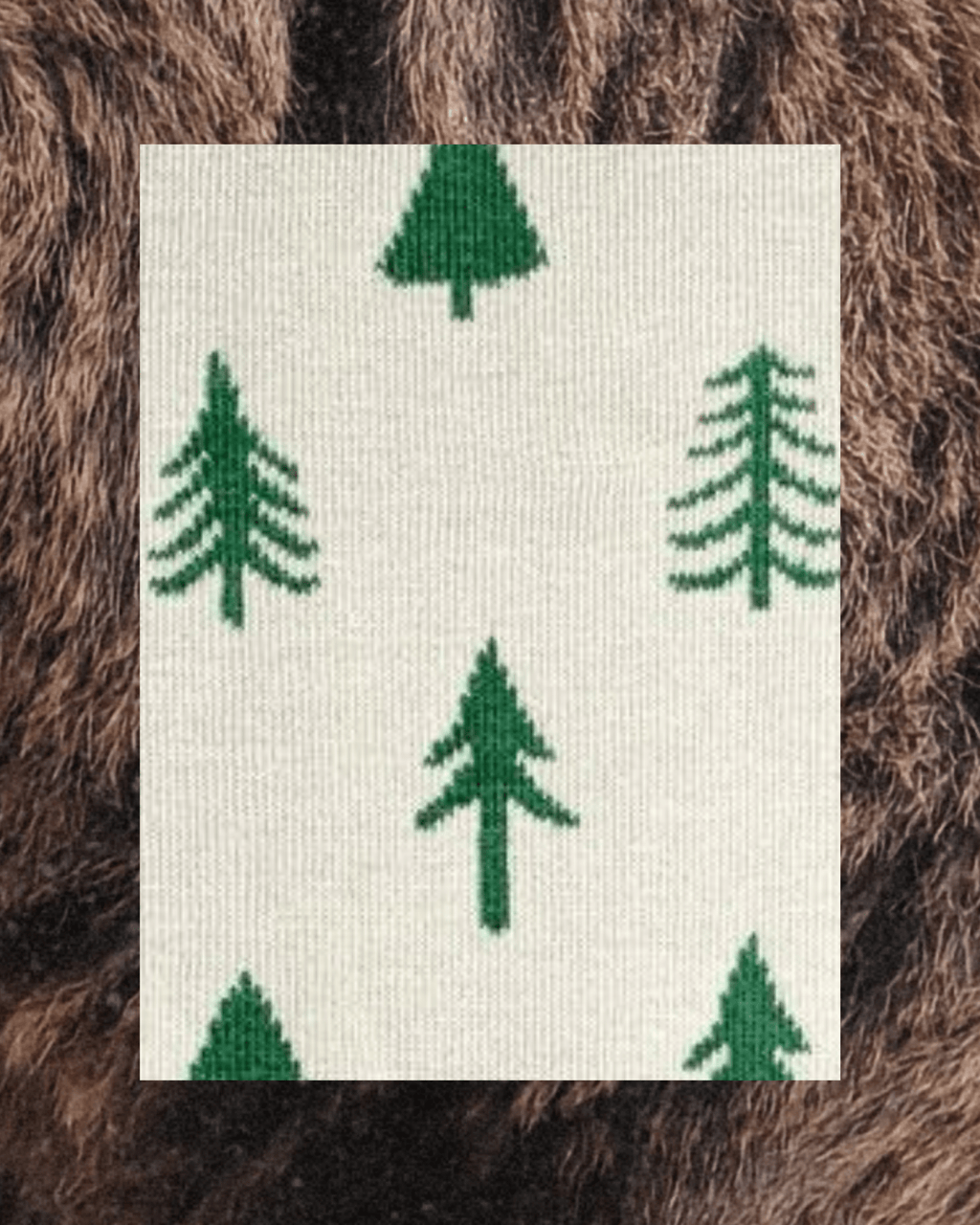 Men’s Bear and Trees Socks - Intrigue Ink Visit Bozeman, Unique Shopping Boutique in Montana, Work from Home Clothes for Women