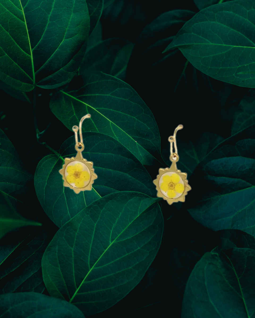 Sunshine Yellow Gold Dried Flower Earrings