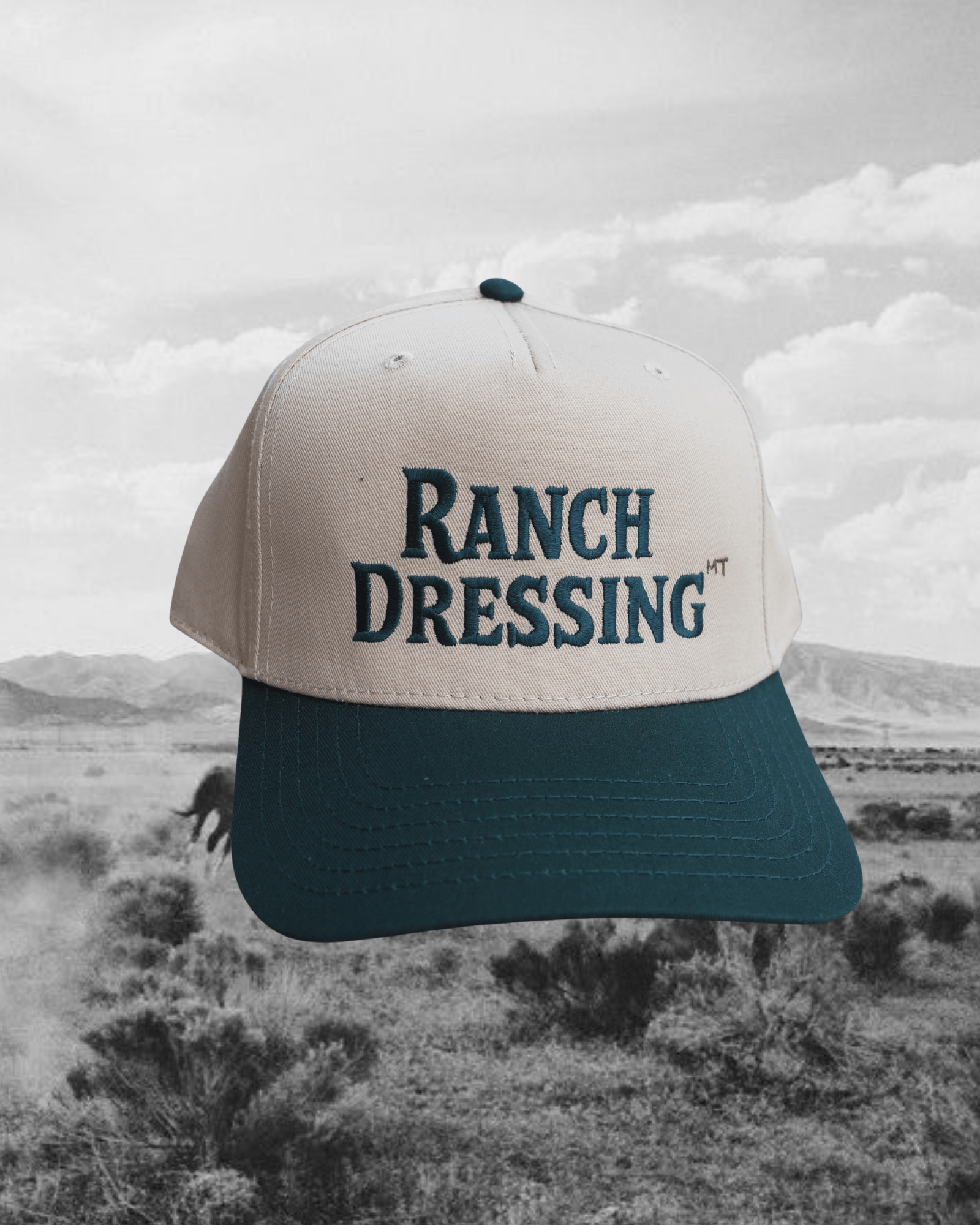 “Ranch Dressing” Structured Hat - Intrigue Ink Visit Bozeman, Unique Shopping Boutique in Montana, Work from Home Clothes for Women