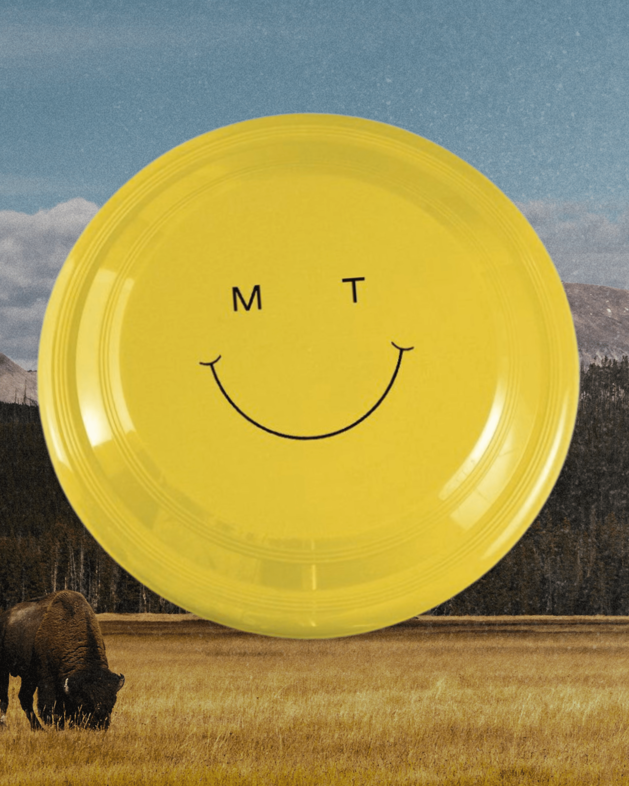 Smile MT Frisbee - Intrigue Ink Visit Bozeman, Unique Shopping Boutique in Montana, Work from Home Clothes for Women