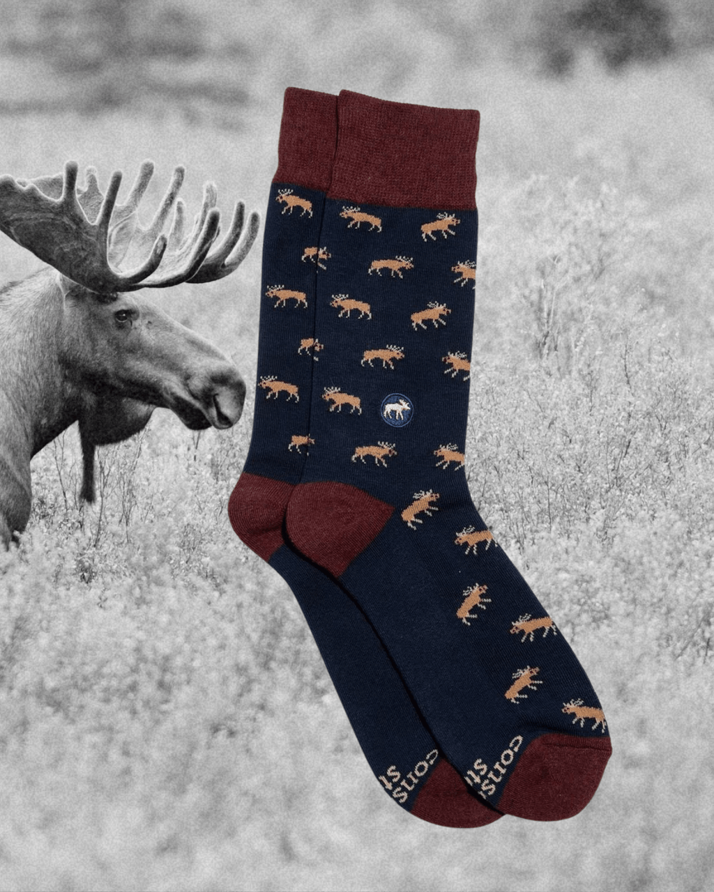 Socks That Protect Moose - Intrigue Ink Visit Bozeman, Unique Shopping Boutique in Montana, Work from Home Clothes for Women