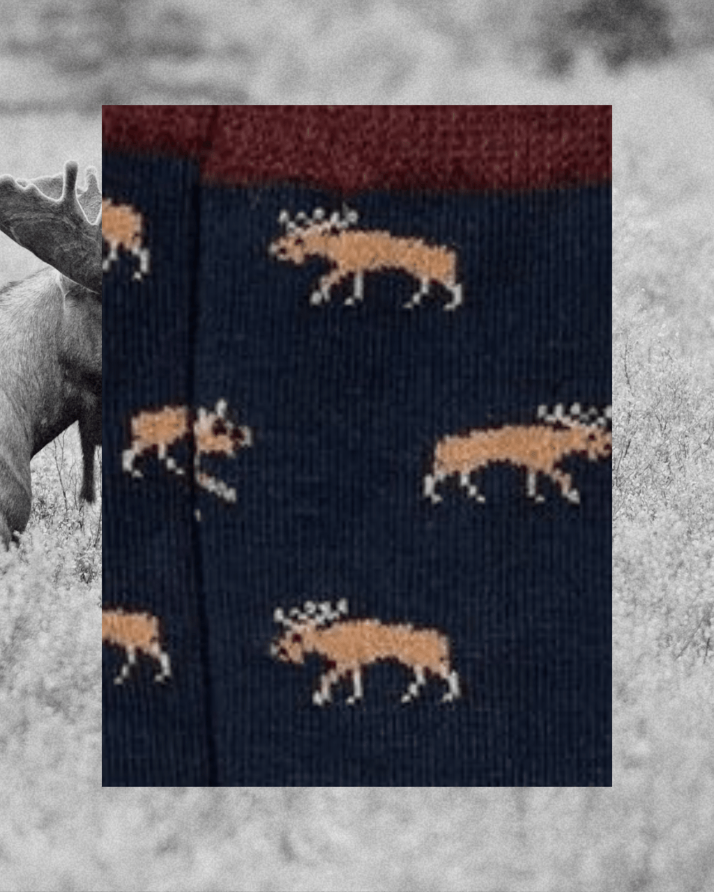 Socks That Protect Moose - Intrigue Ink Visit Bozeman, Unique Shopping Boutique in Montana, Work from Home Clothes for Women