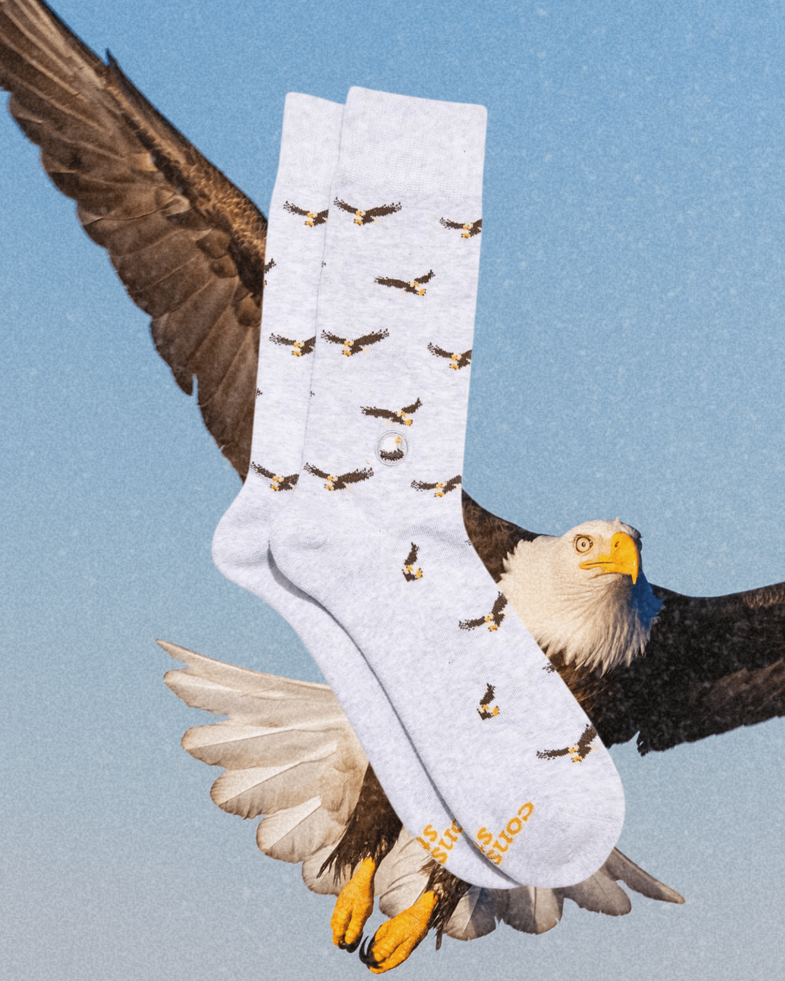 Socks that Protect Bald Eagles - Intrigue Ink Visit Bozeman, Unique Shopping Boutique in Montana, Work from Home Clothes for Women