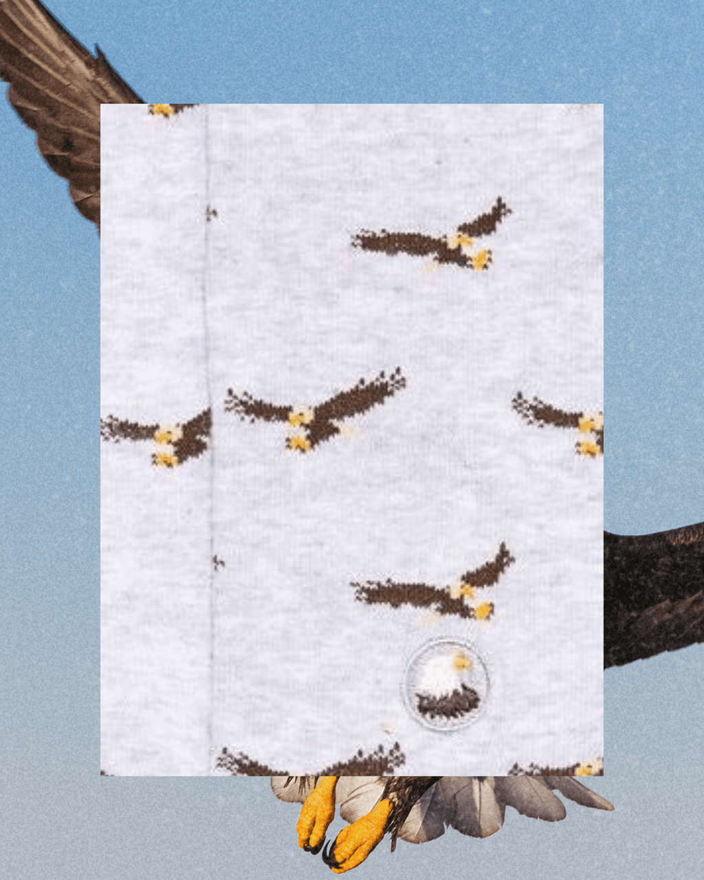 Socks that Protect Bald Eagles - Intrigue Ink Visit Bozeman, Unique Shopping Boutique in Montana, Work from Home Clothes for Women