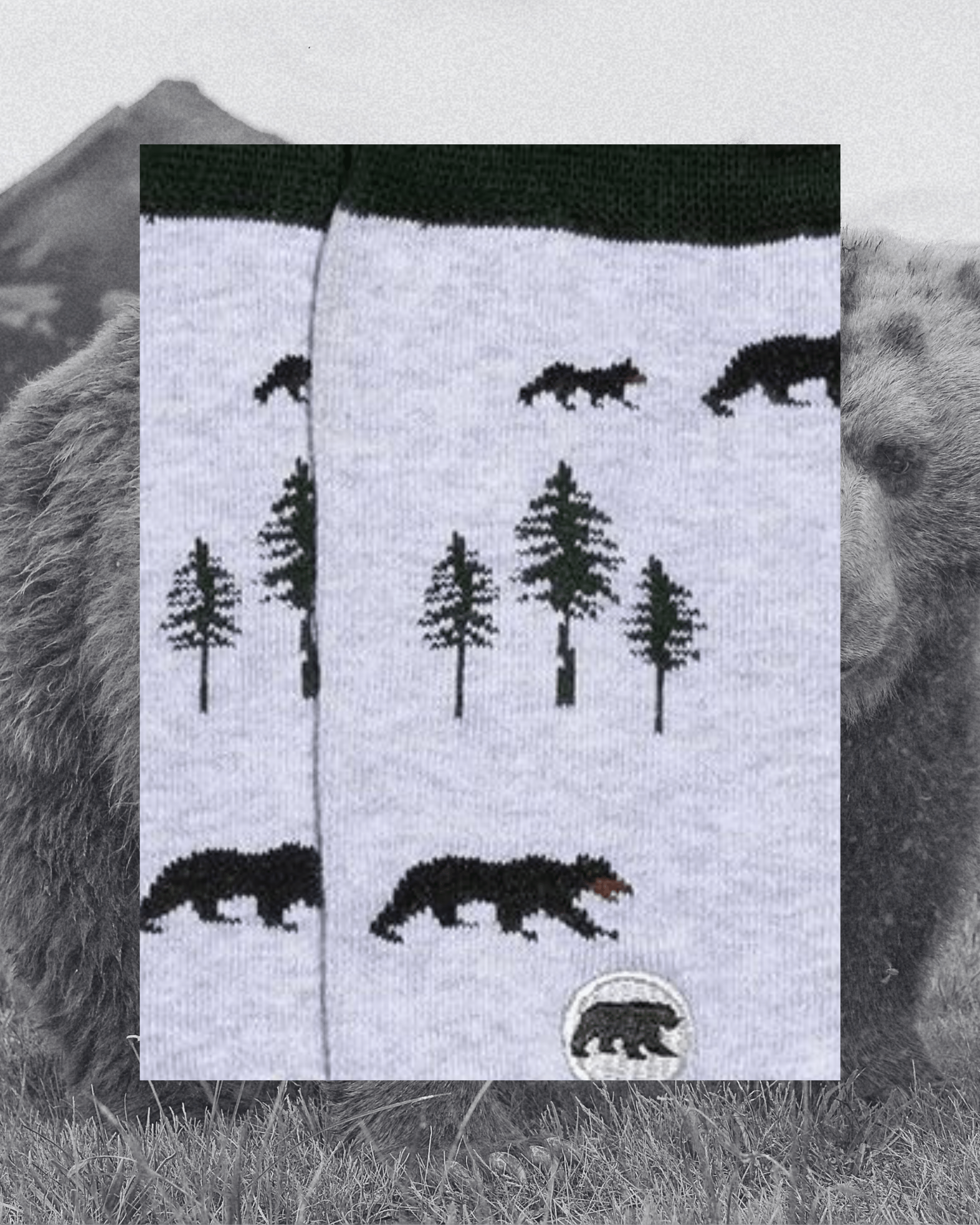 Socks that Protect Bears - Intrigue Ink Visit Bozeman, Unique Shopping Boutique in Montana, Work from Home Clothes for Women