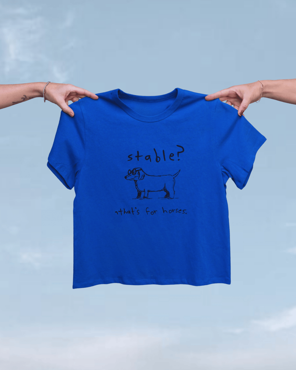 "Stable" Blue Tee - Intrigue Ink Visit Bozeman, Unique Shopping Boutique in Montana, Work from Home Clothes for Women