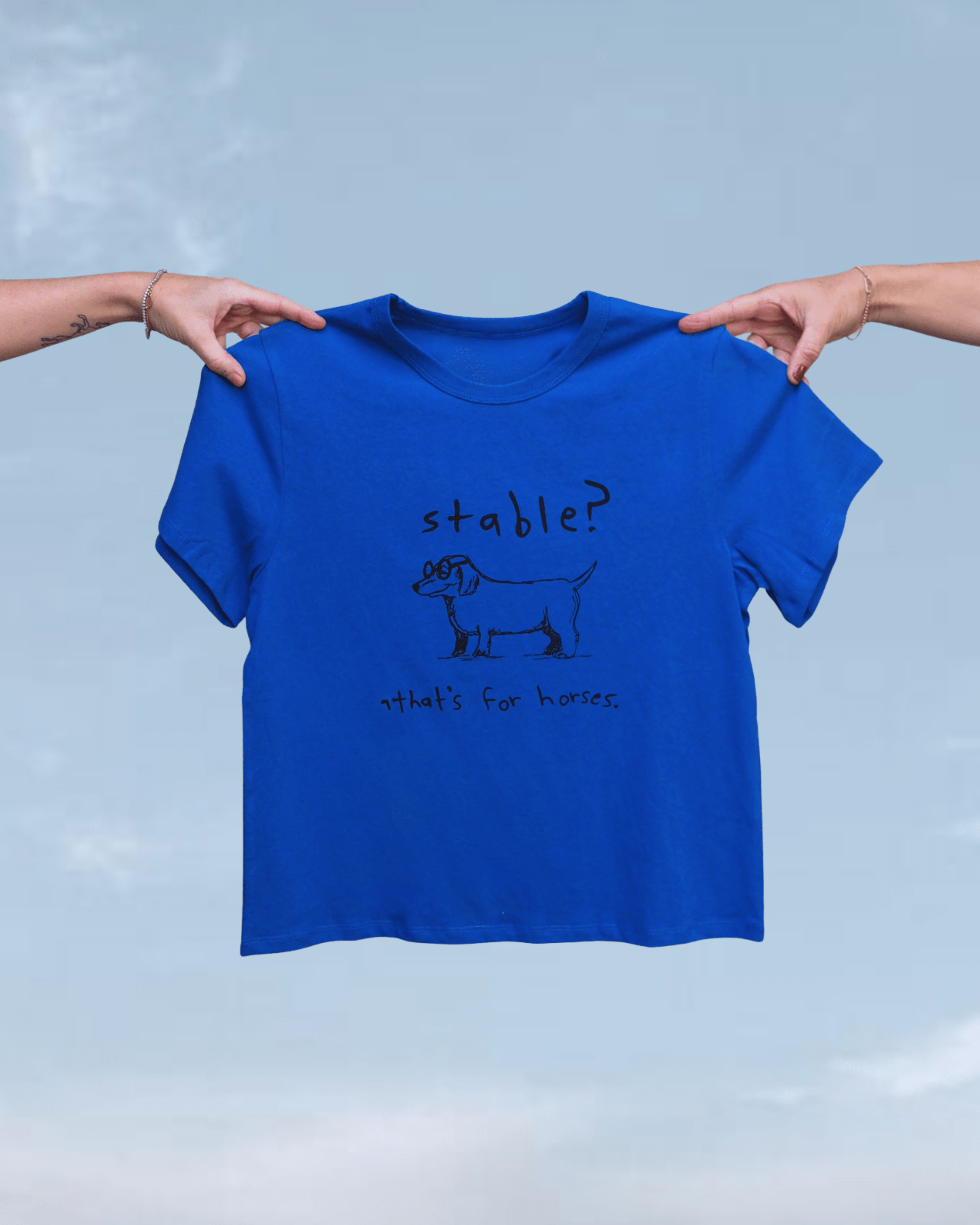 "Stable" Blue Tee - Intrigue Ink Visit Bozeman, Unique Shopping Boutique in Montana, Work from Home Clothes for Women