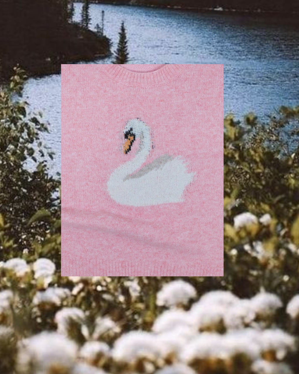 Swan Sweater - Cherry Pink