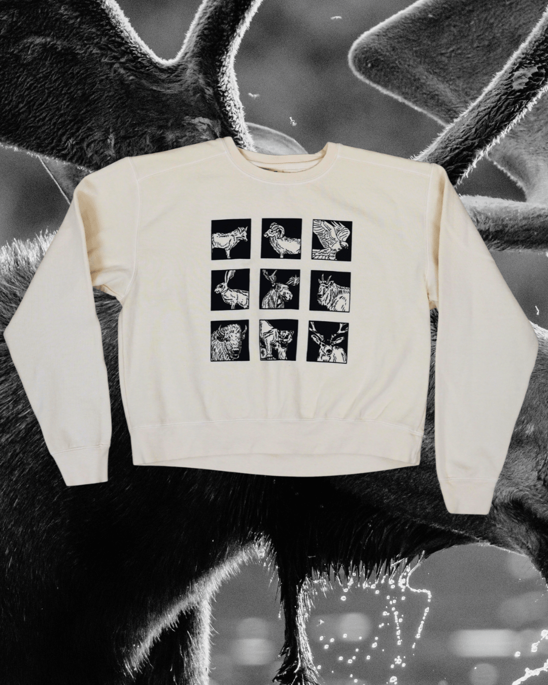 "Montana Brady Bunch" Crop Pullover - Intrigue Ink Visit Bozeman, Unique Shopping Boutique in Montana, Work from Home Clothes for Women