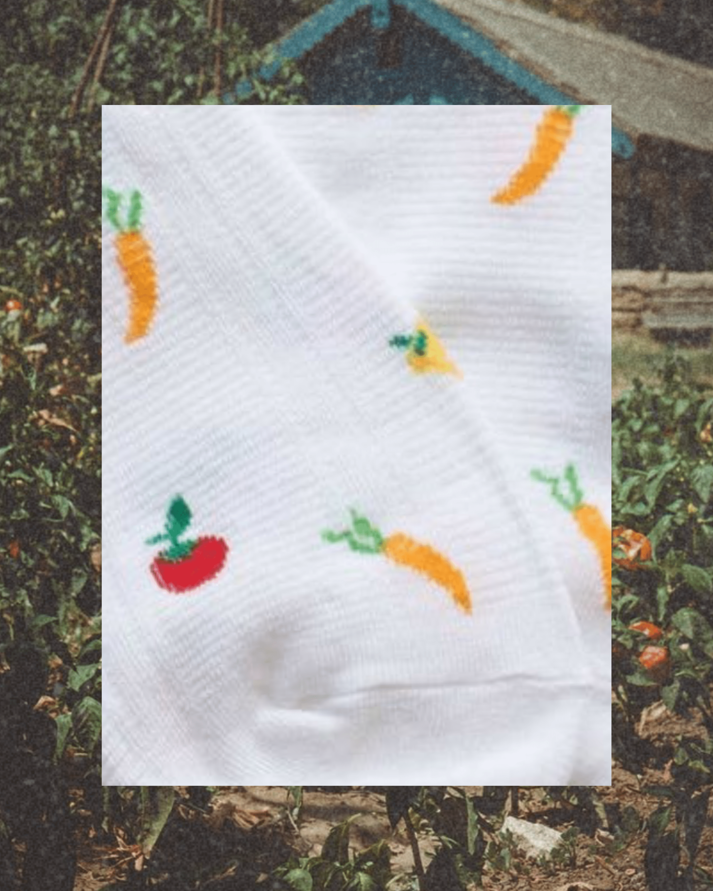 Vegetables Ankle Socks - Ivory - Intrigue Ink Visit Bozeman, Unique Shopping Boutique in Montana, Work from Home Clothes for Women