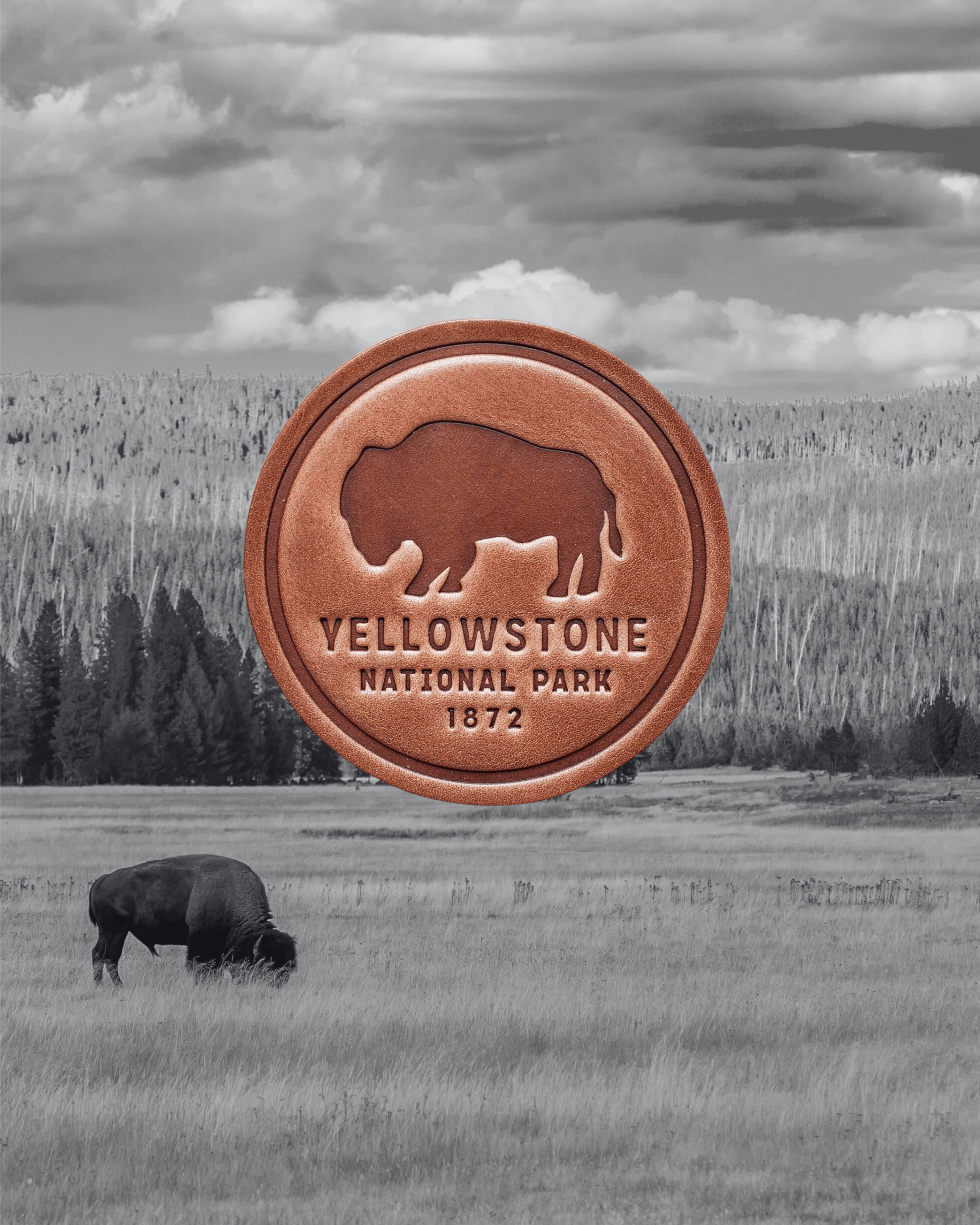 Yellowstone National Park Leather Coaster - Intrigue Ink Visit Bozeman, Unique Shopping Boutique in Montana, Work from Home Clothes for Women