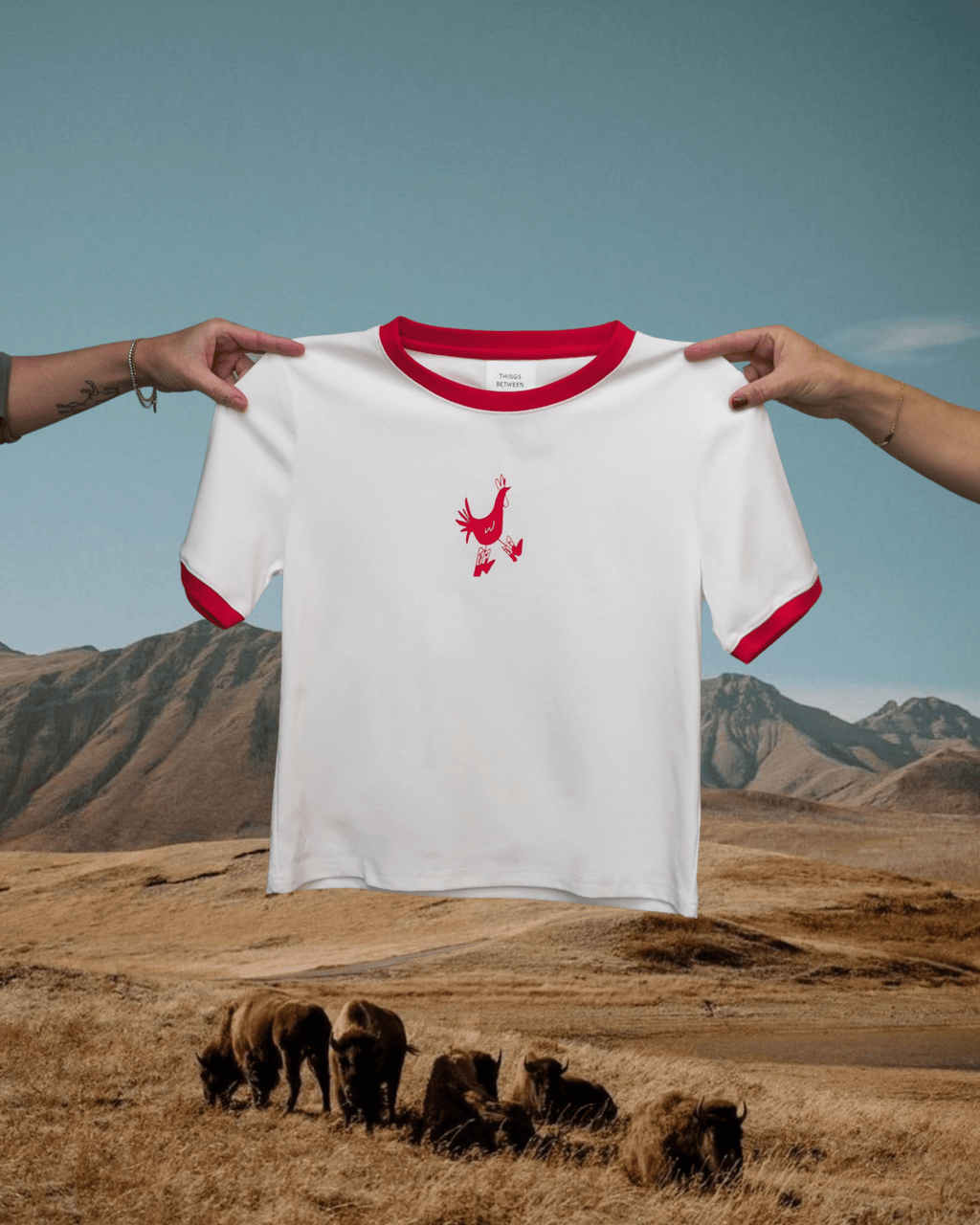 "Cowboy Chicken" Ringer Tee - Red/Ivory - Intrigue Ink Visit Bozeman, Unique Shopping Boutique in Montana, Work from Home Clothes for Women